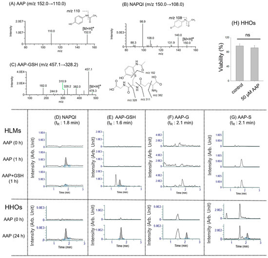 Identification of Reactive Metabolites of Acetaminophen and Saxagliptin in  Human Hepatocytes and Hepatic Organoids