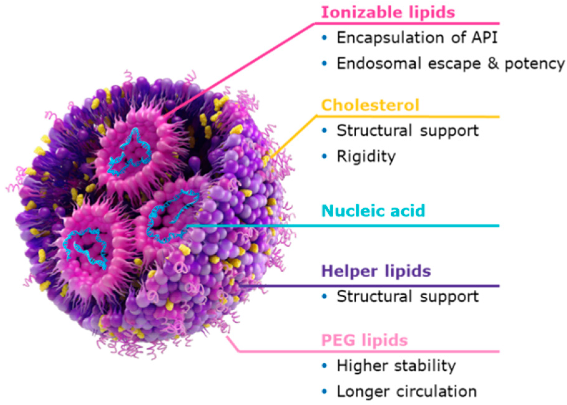 Pharmaceutics 18 00489 g001 Pharmaceutics 18 00489 g001
