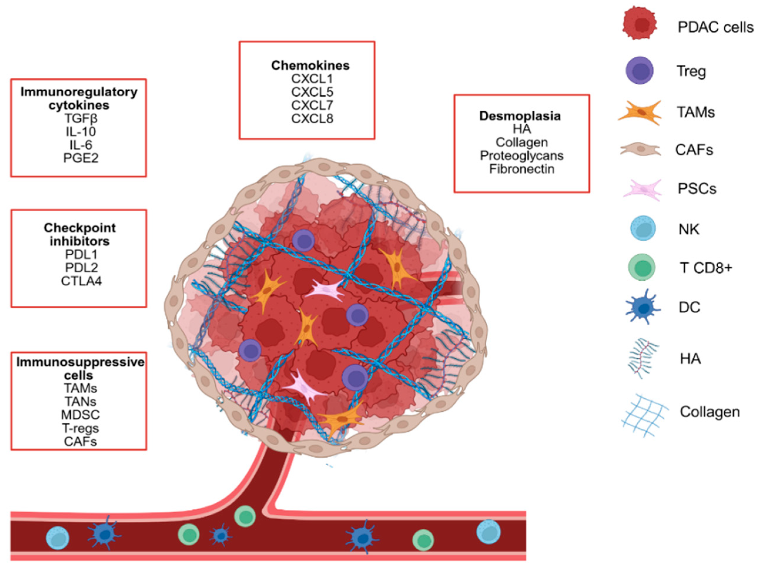 Pharmaceutics 18 00510 g001