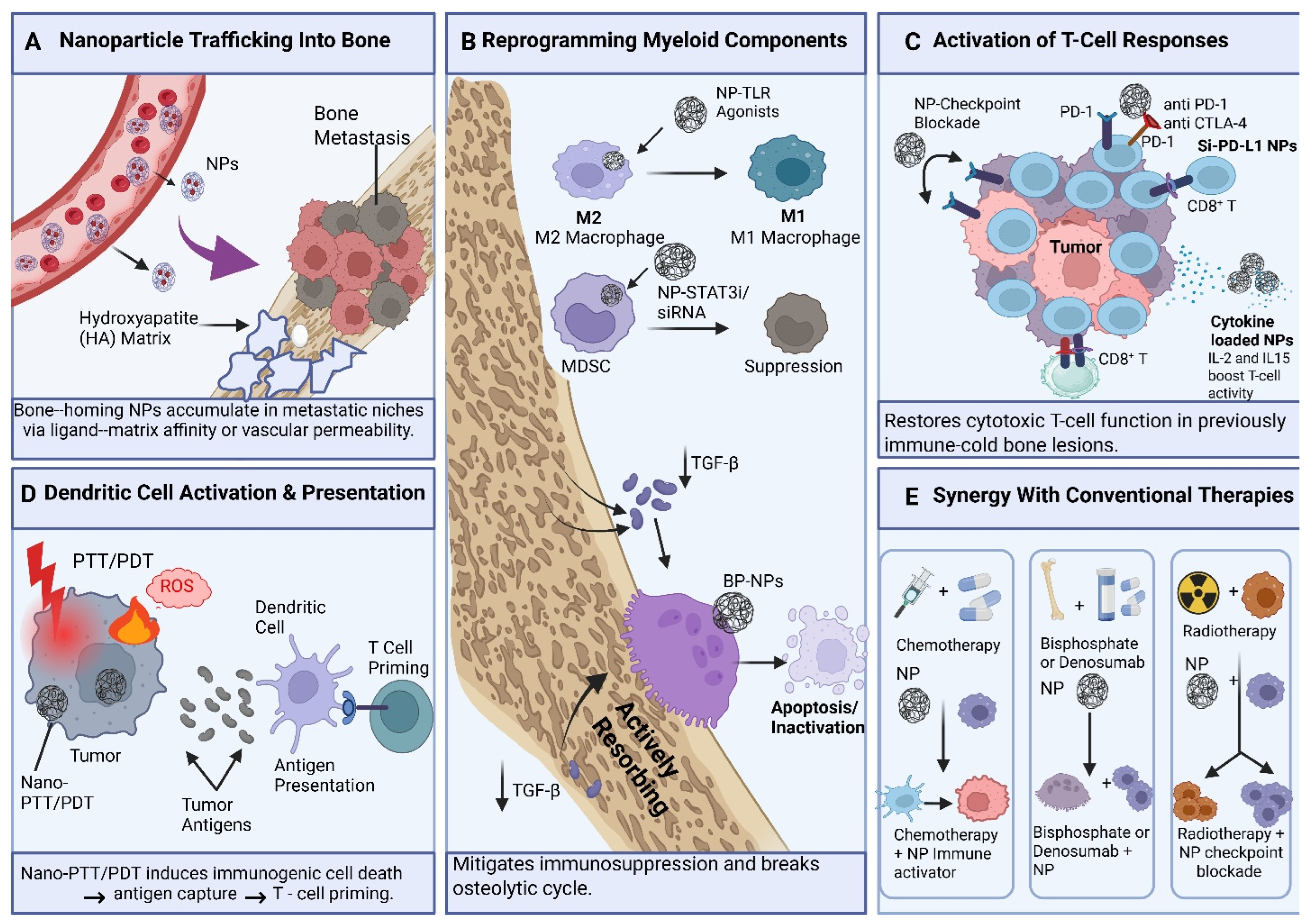 Pharmaceutics 18 00571 g003 Pharmaceutics 18 00571 g003