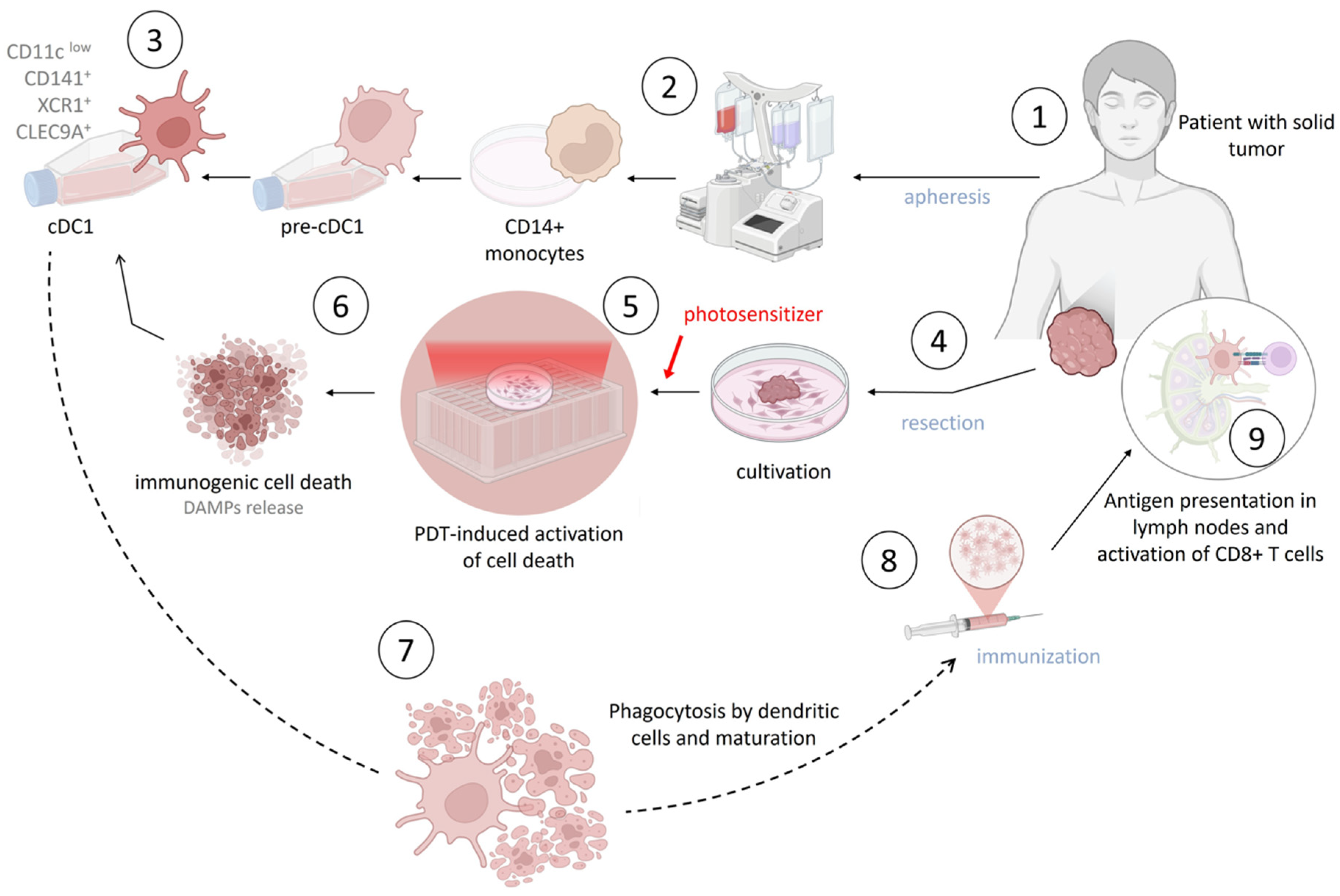 Pharmaceutics 18 00588 g002 Pharmaceutics 18 00588 g002