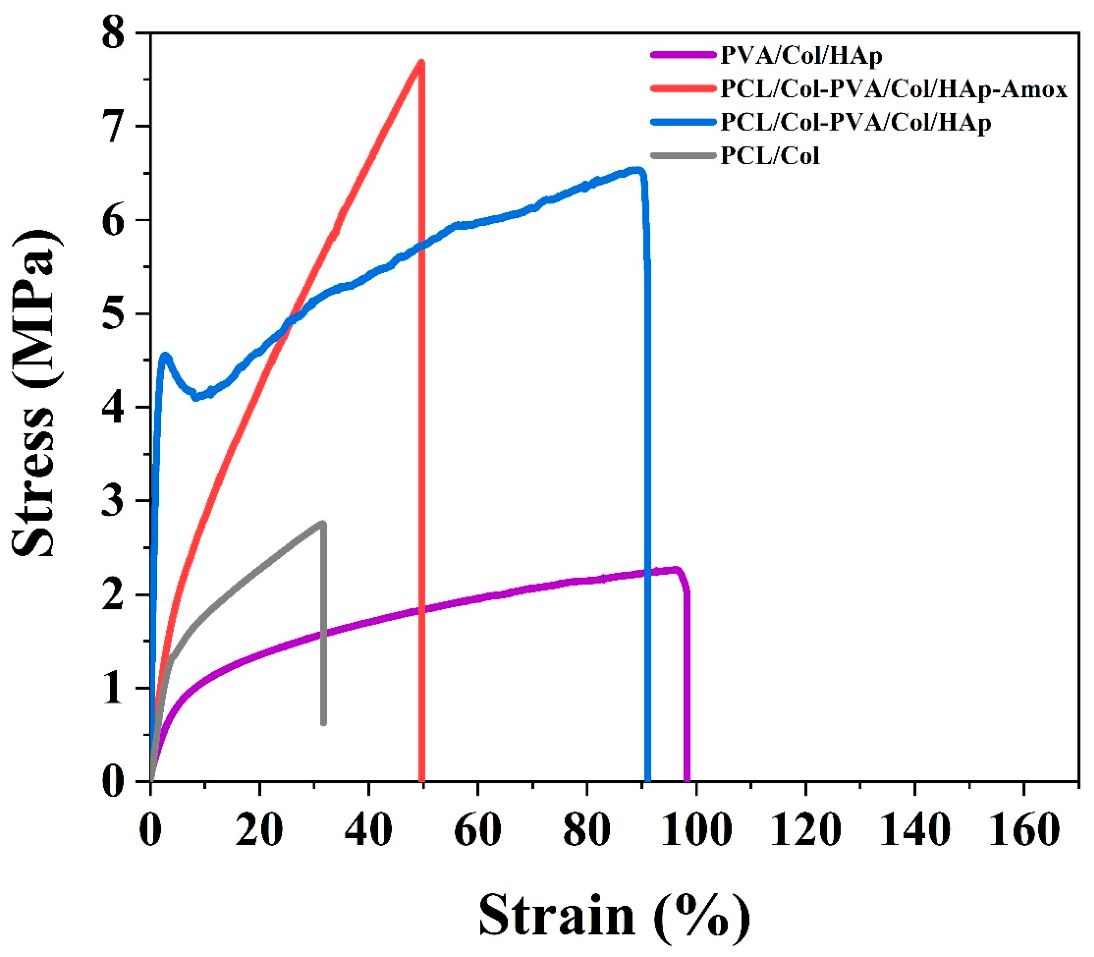 Pharmaceutics 18 00610 g002