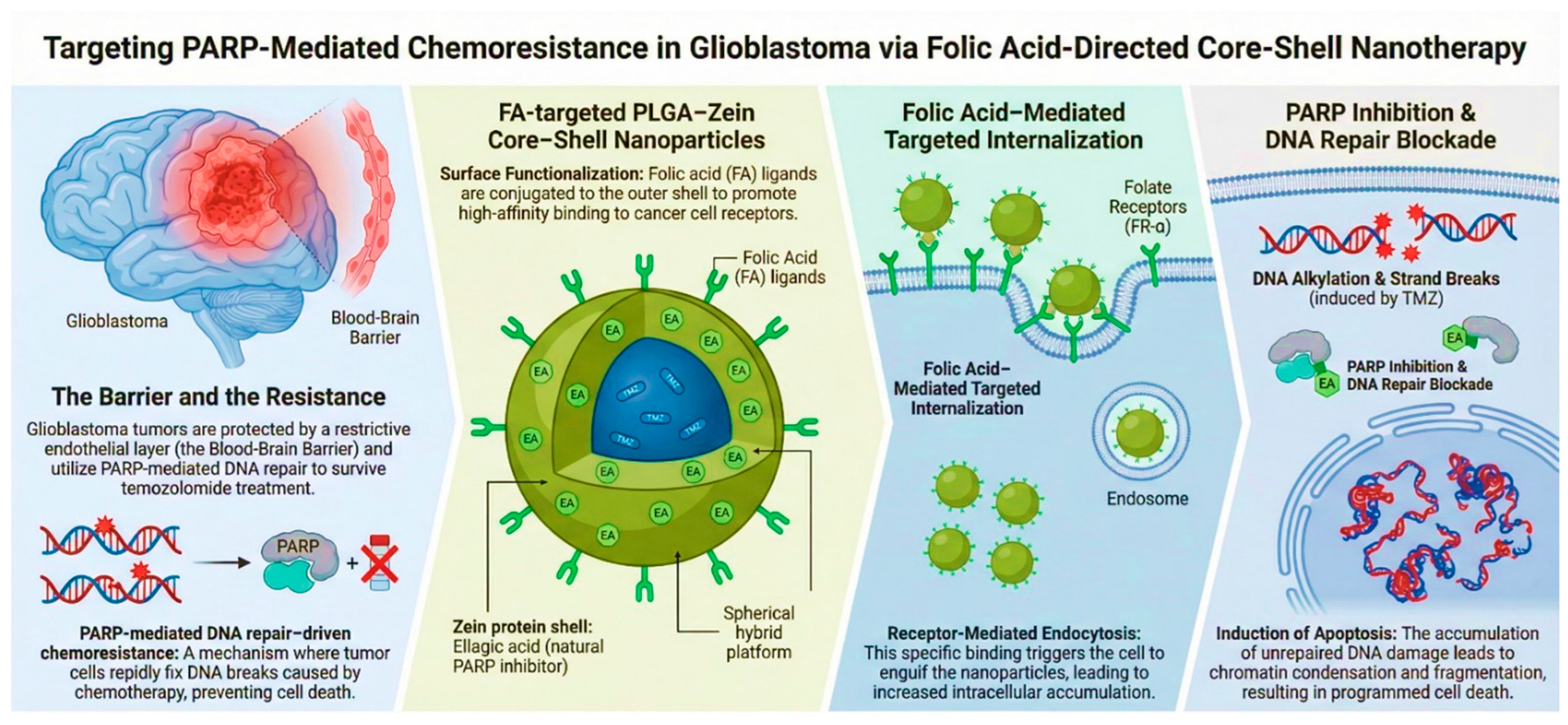 Pharmaceutics 18 00655 g011