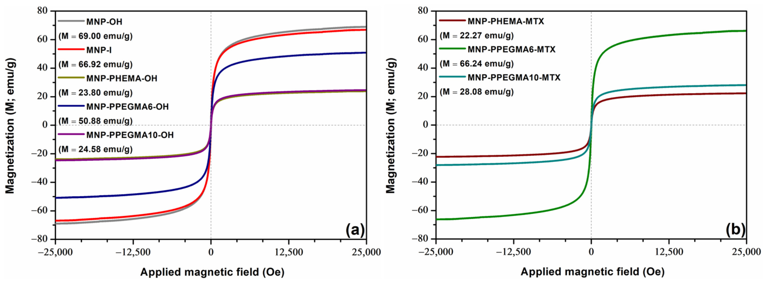 Pharmaceutics 18 00691 g004