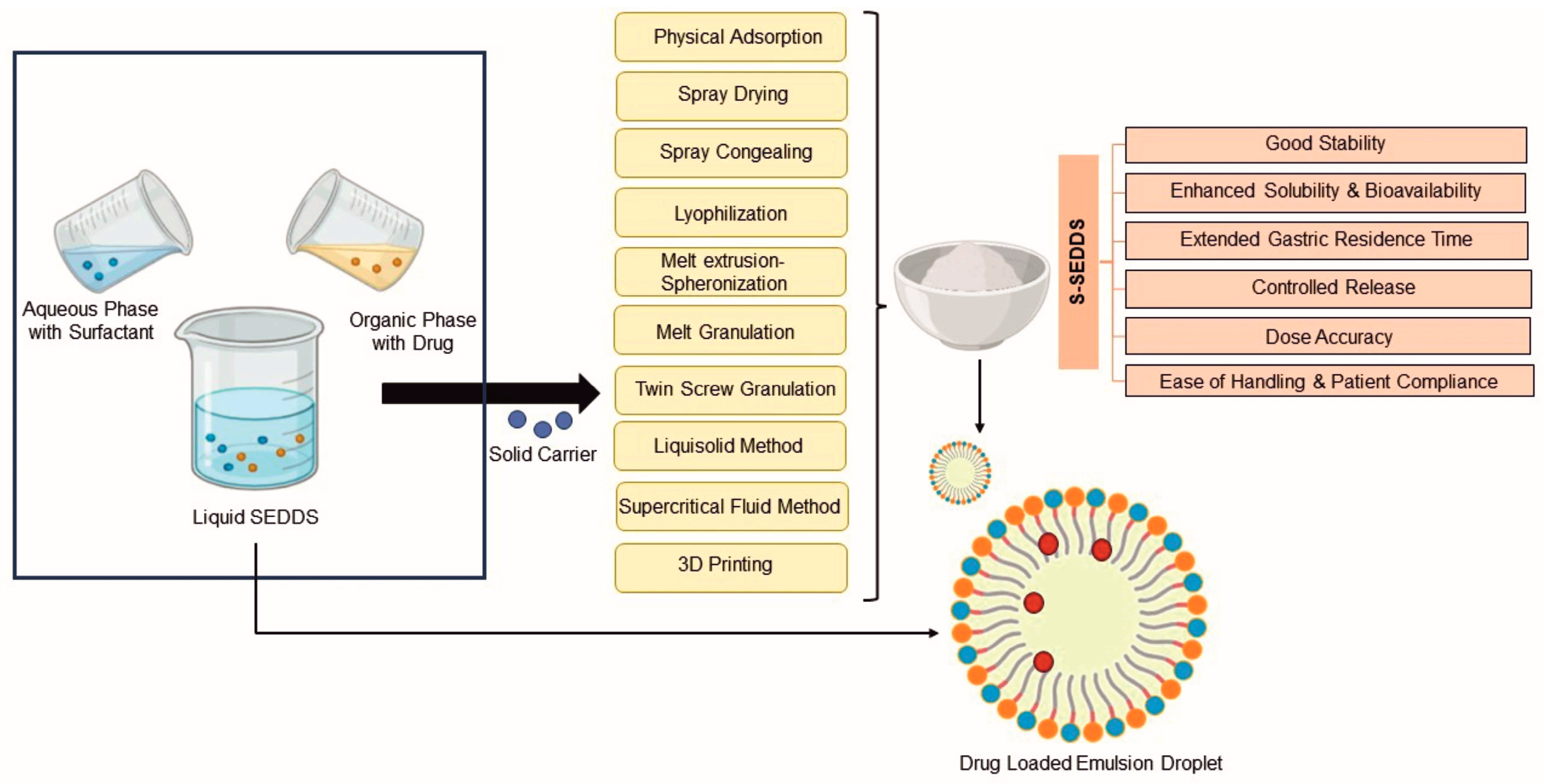 Pharmaceutics 18 00698 g005 Pharmaceutics 18 00698 g005