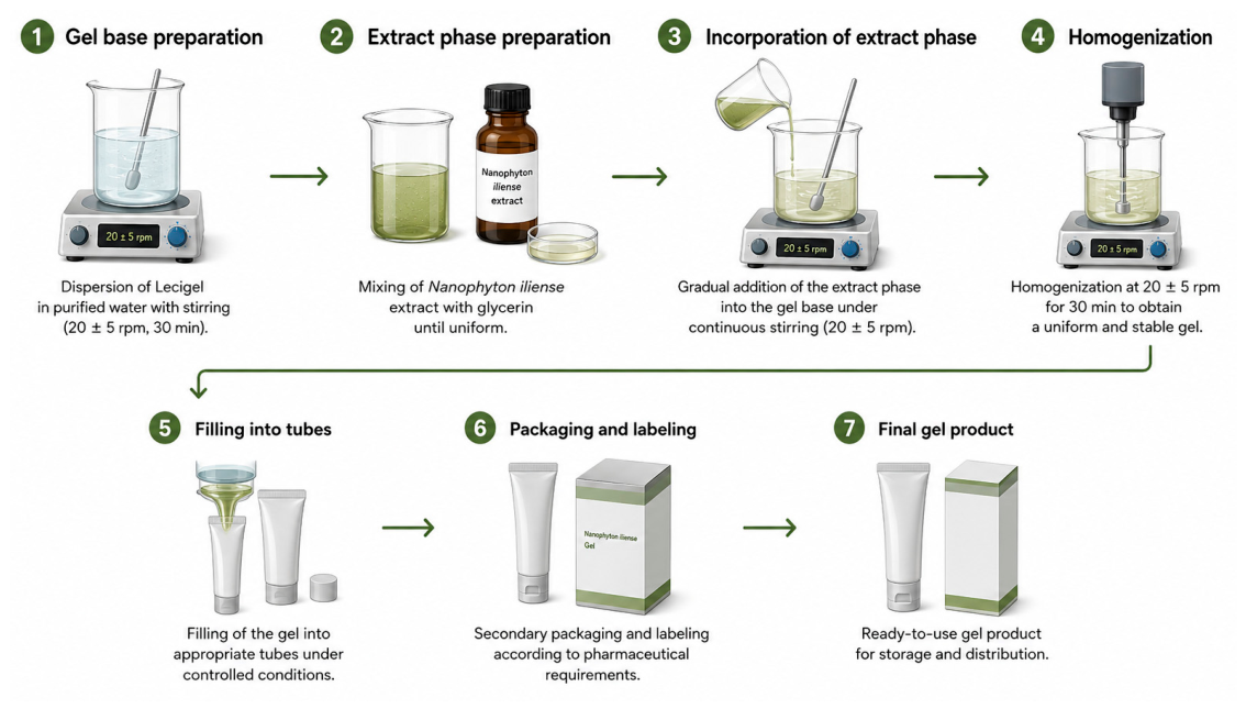 Pharmaceutics 18 00710 g007