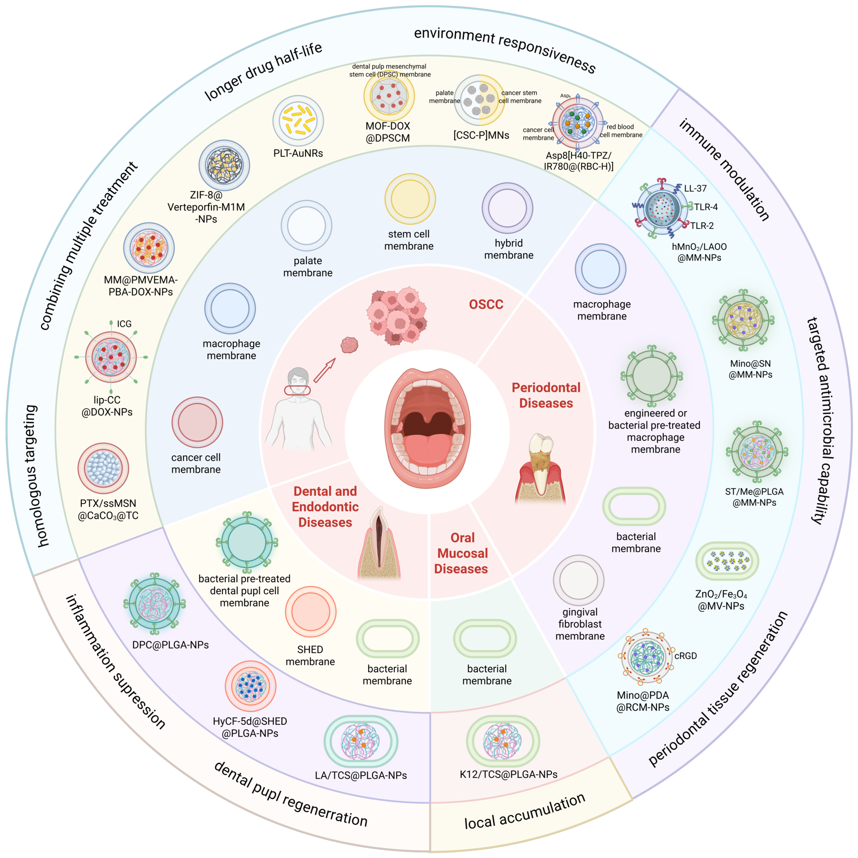 Biomimetic Cell Membrane-Based Drug Delivery Systems for Oral