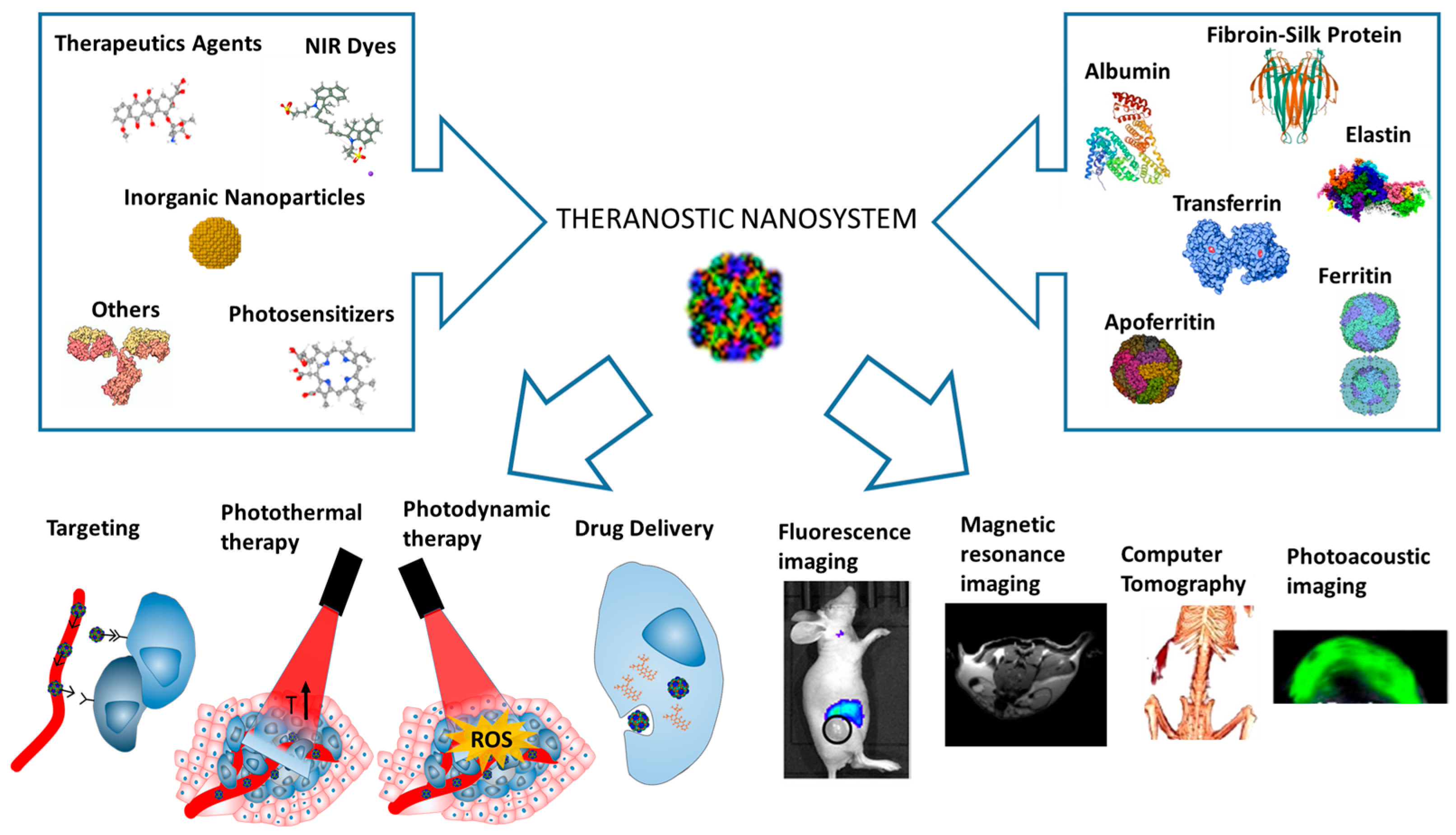 Pharmaceutics 18 00831 g001 Pharmaceutics 18 00831 g001