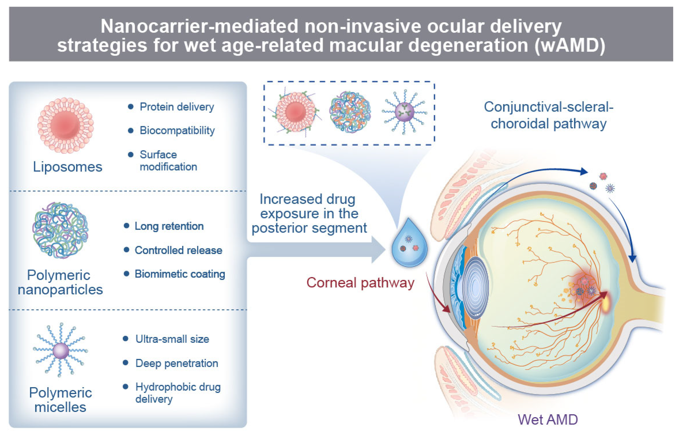 Pharmaceutics 18 00861 g002 Pharmaceutics 18 00861 g002