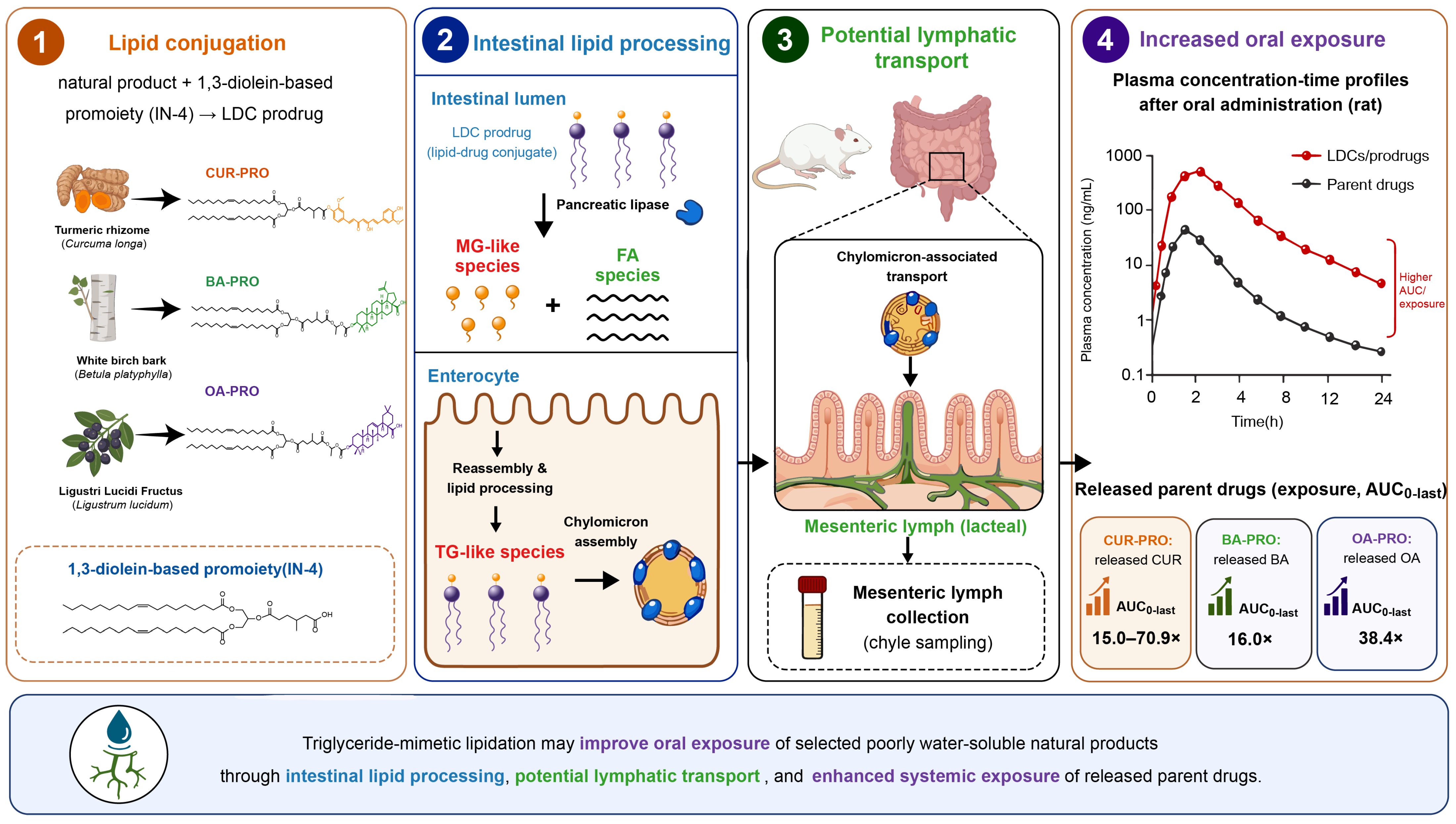 Pharmaceutics 18 00899 g001