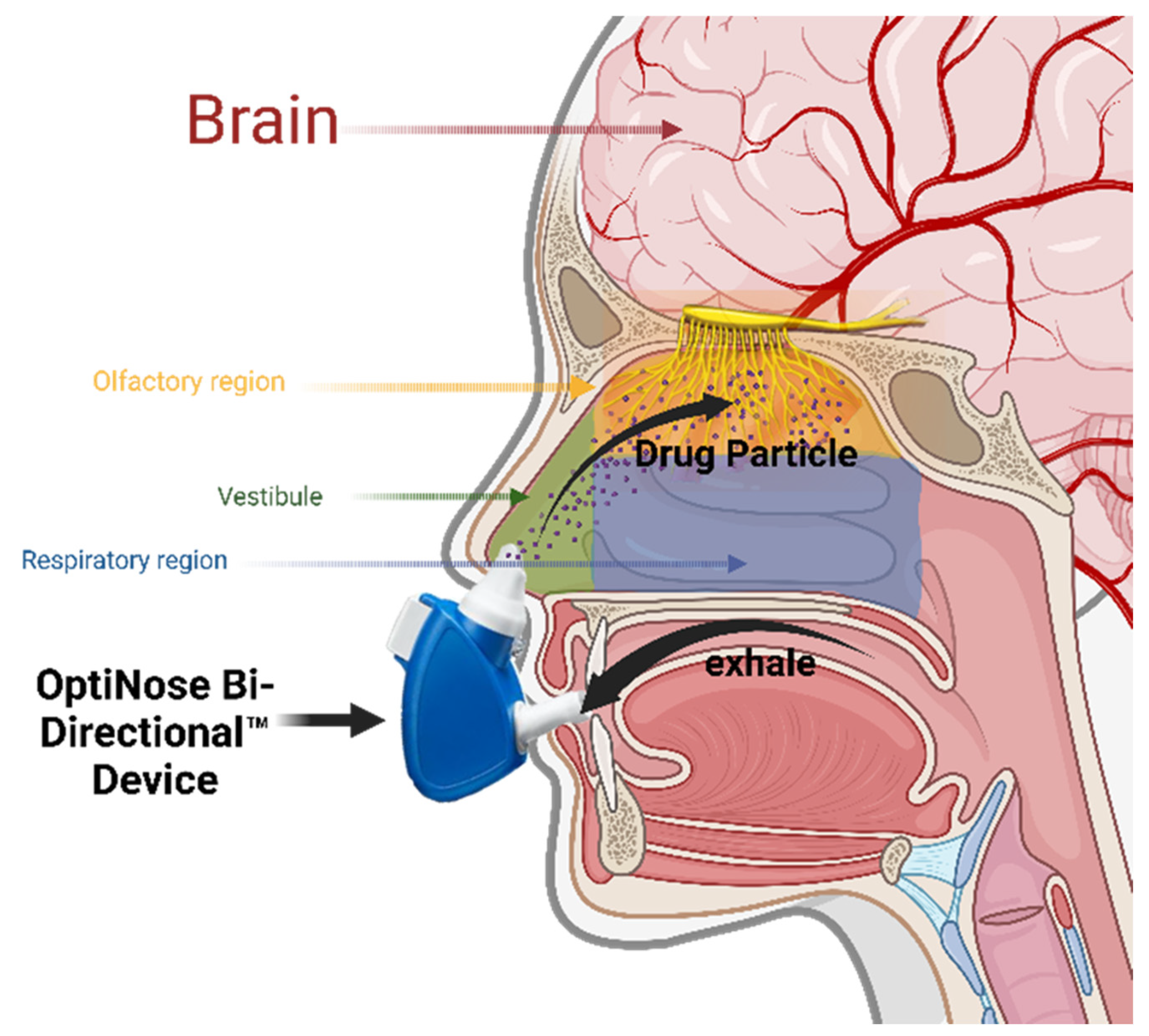 Pharmaceutics 18 00902 g003 Pharmaceutics 18 00902 g003