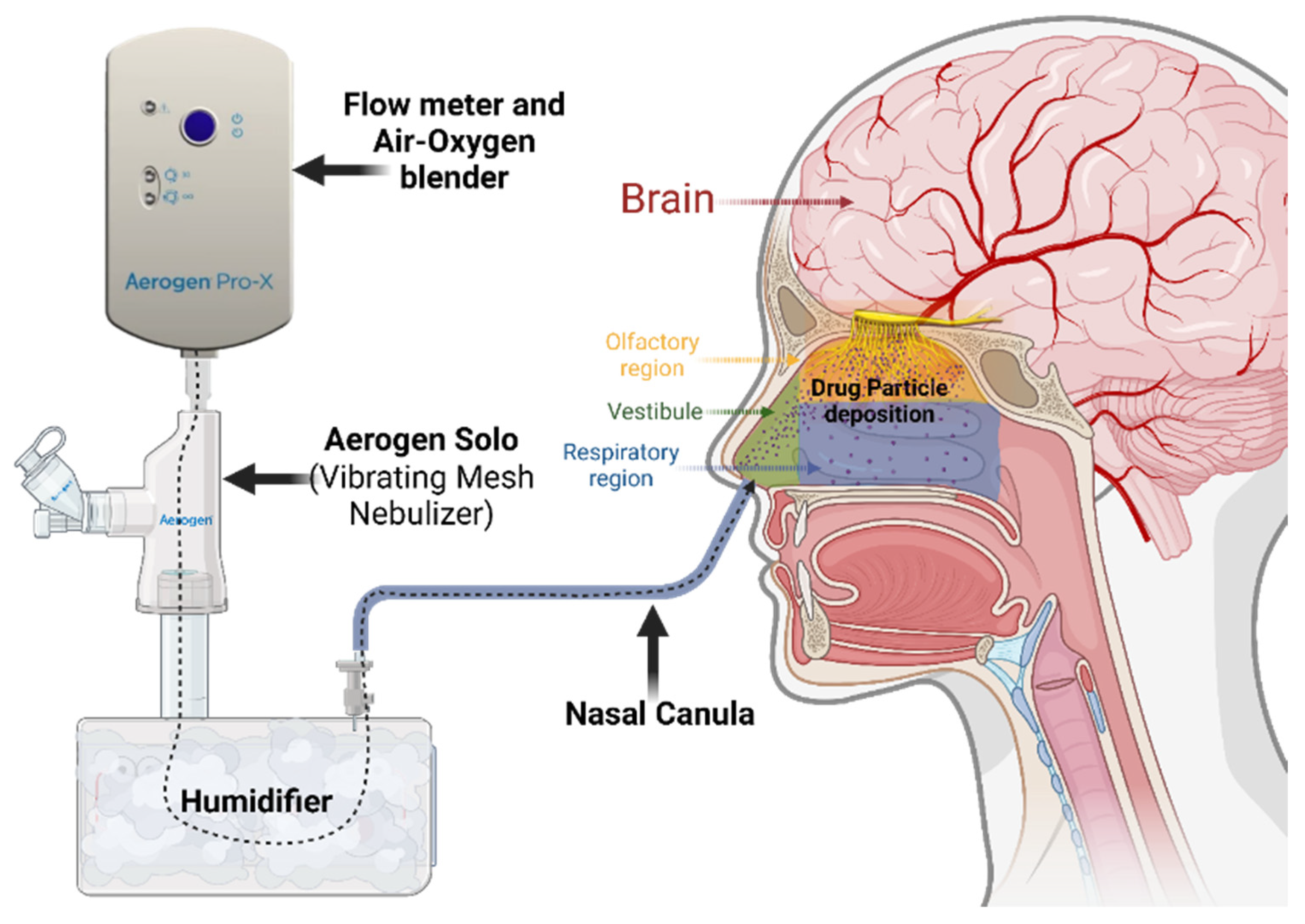 Pharmaceutics 18 00902 g004 Pharmaceutics 18 00902 g004