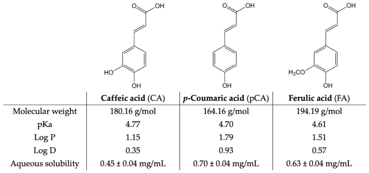 Pharmaceutics 18 00962 g001 Pharmaceutics 18 00962 g001