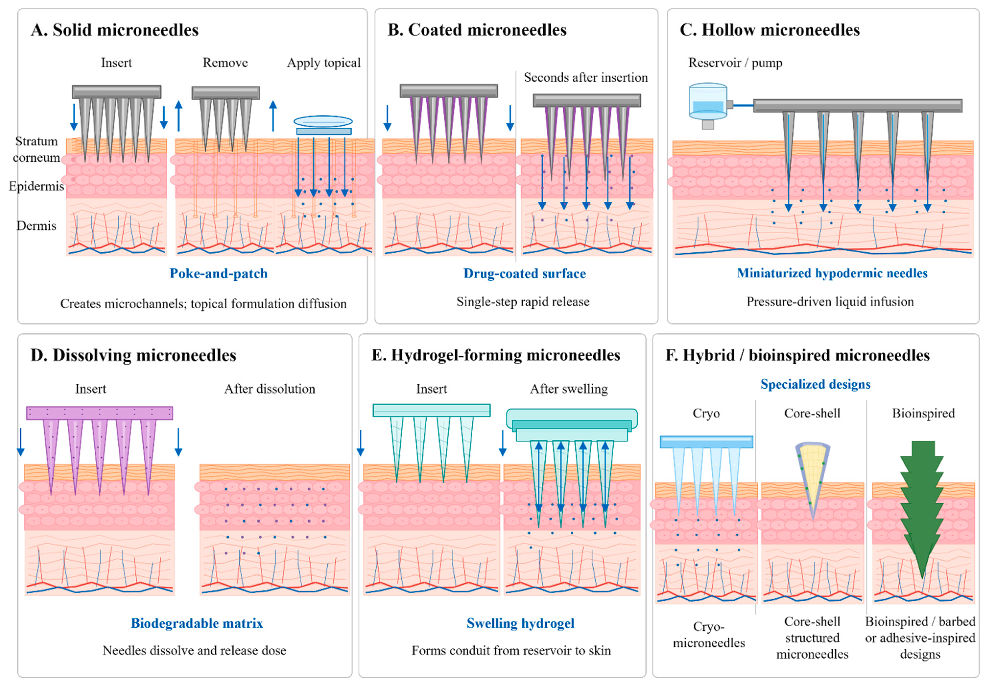 Pharmaceutics 18 01022 g002 Pharmaceutics 18 01022 g002