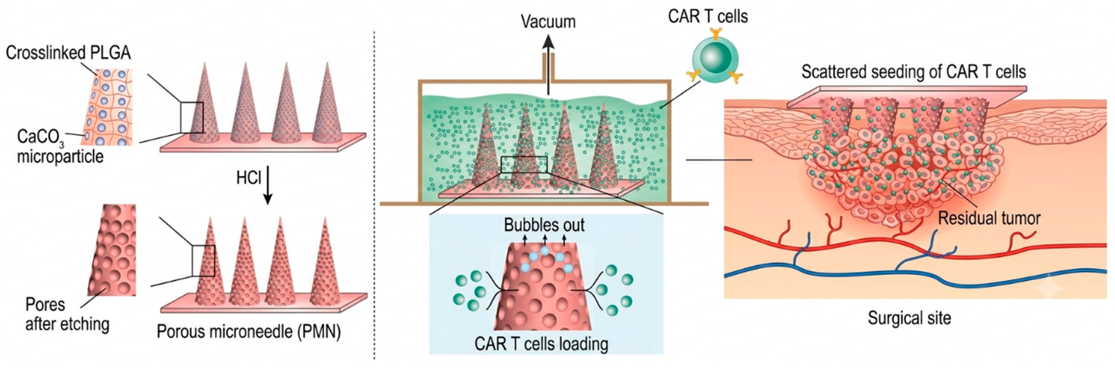 Pharmaceutics 18 01022 g003 Pharmaceutics 18 01022 g003