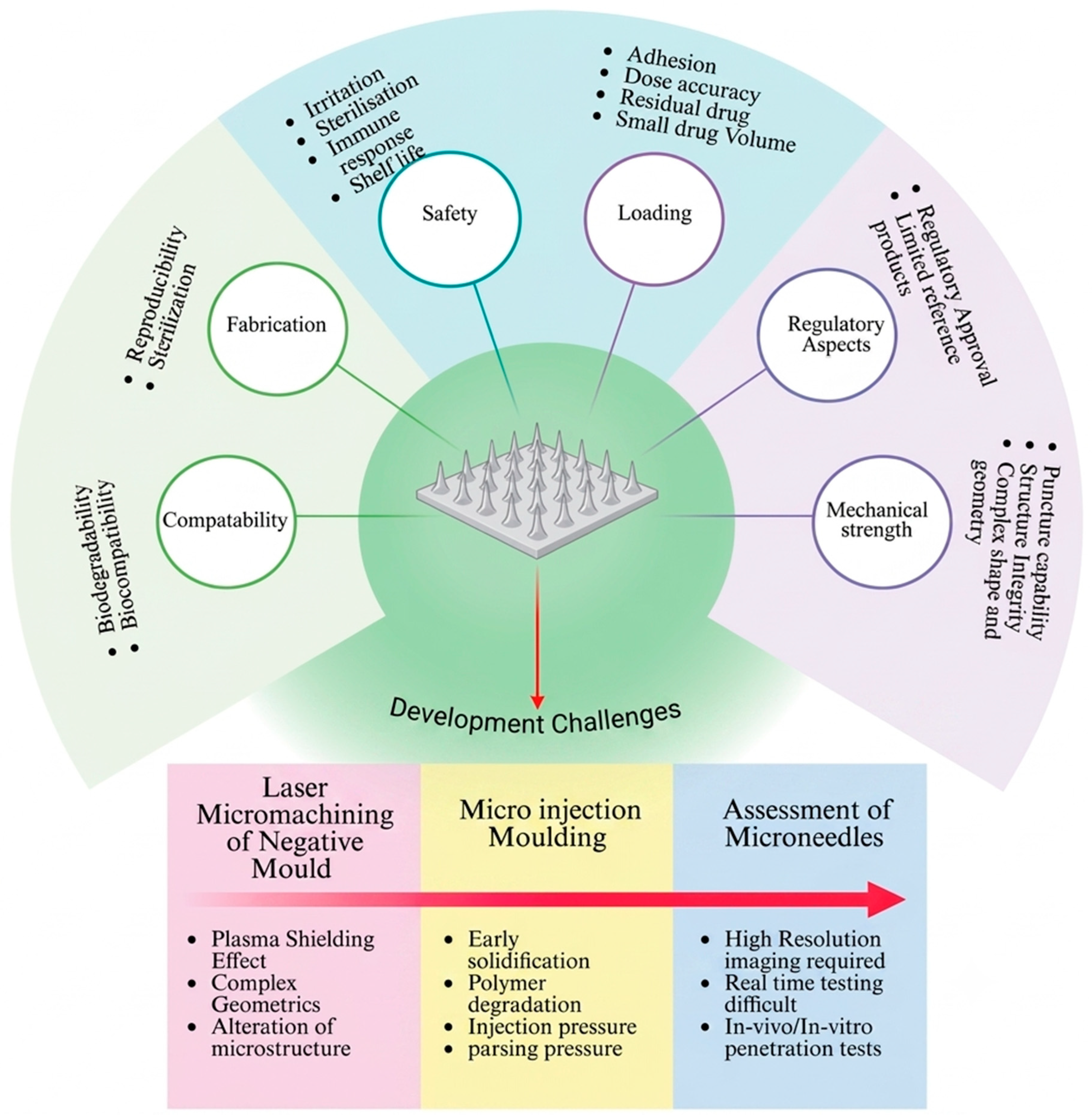 Pharmaceutics 18 01022 g004 Pharmaceutics 18 01022 g004