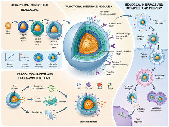 glutathione liposomal ben greenfield Layer by Layer Engineered Lipid-Based Nanocarriers for Therapeutic Delivery and Next-Generation Design ghk-cu hair growth randomized