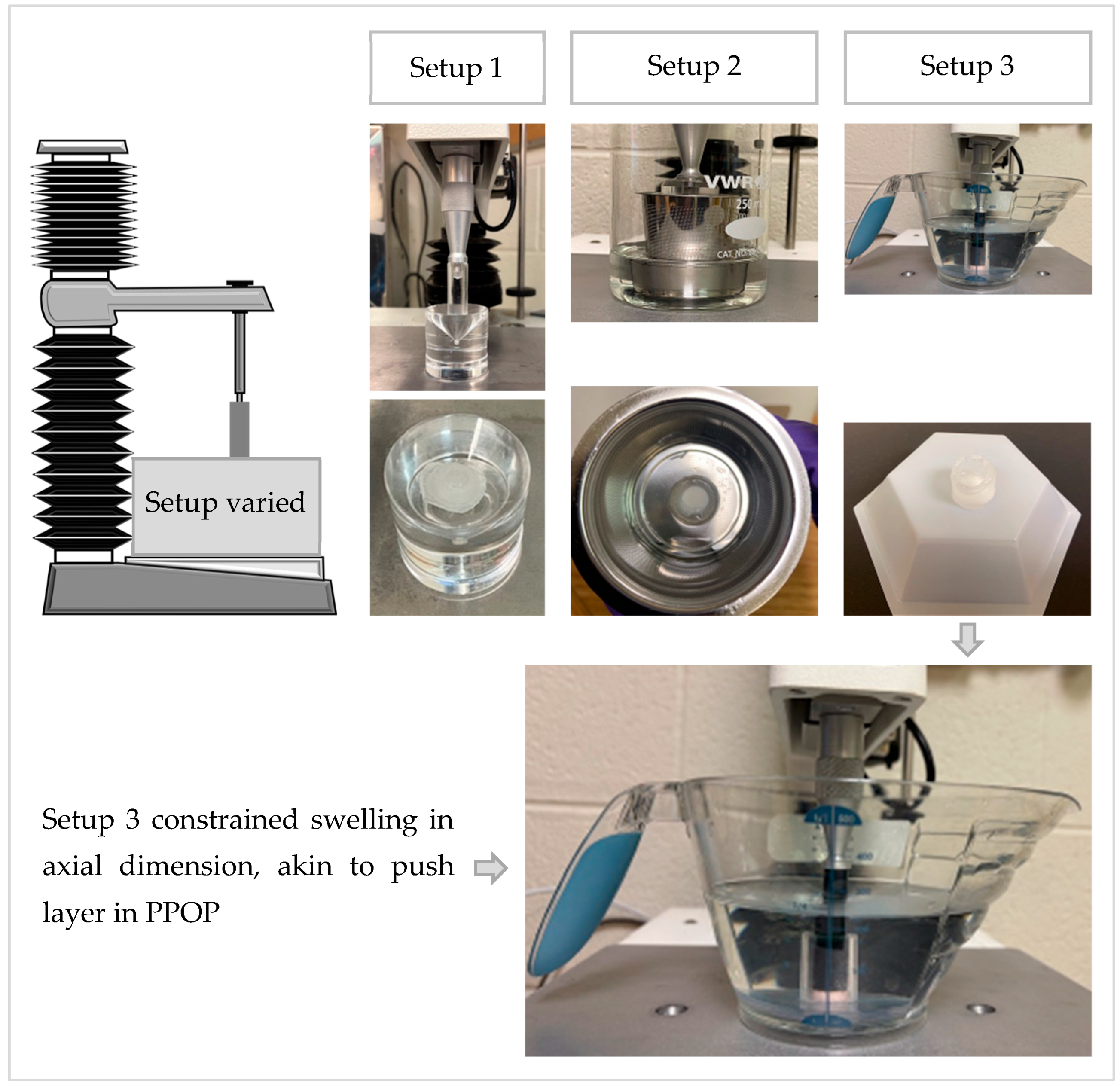 Pharmaceutics 18 01174 g002 Pharmaceutics 18 01174 g002
