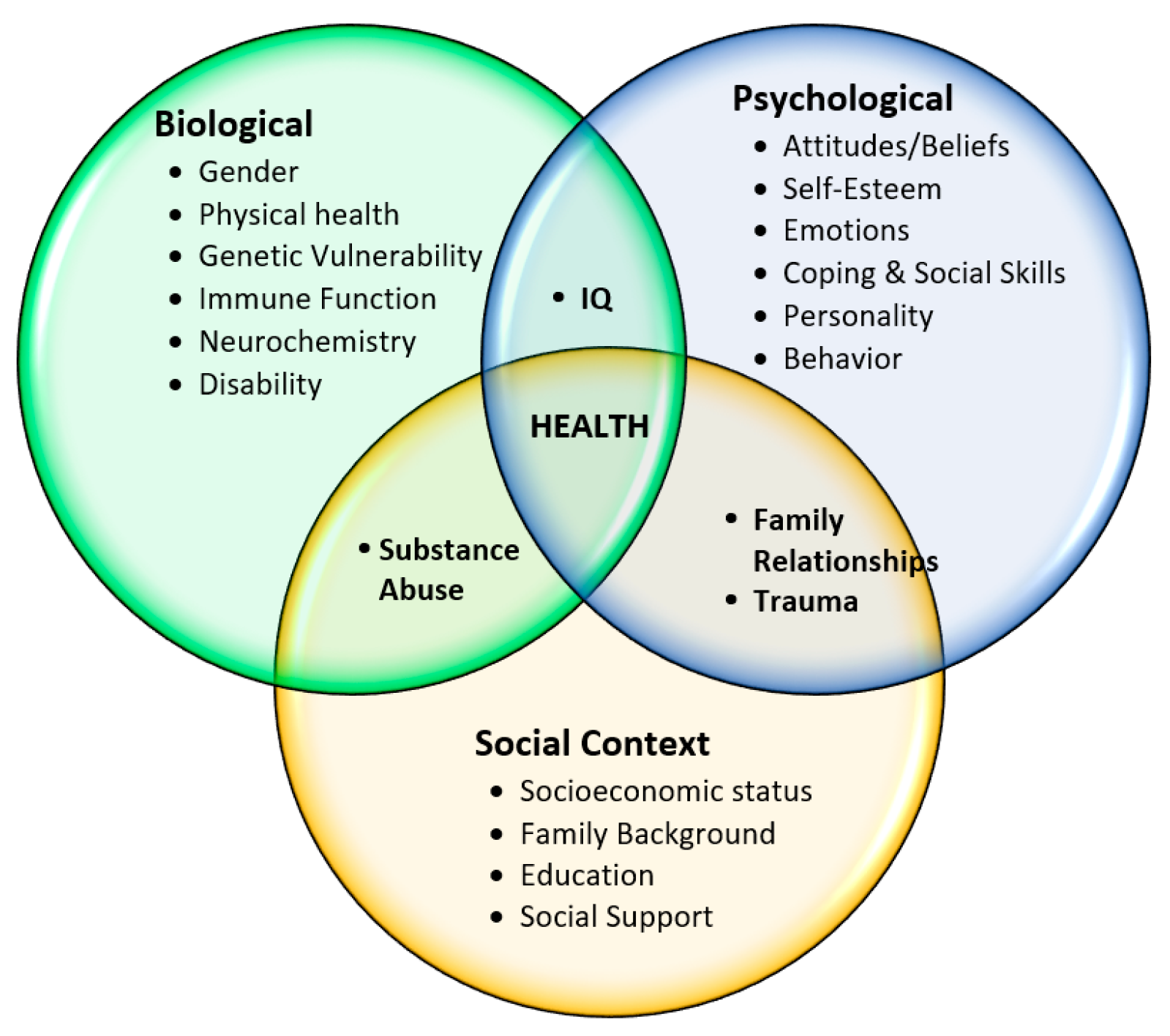 describing-a-person-using-the-biopsychosocial-model