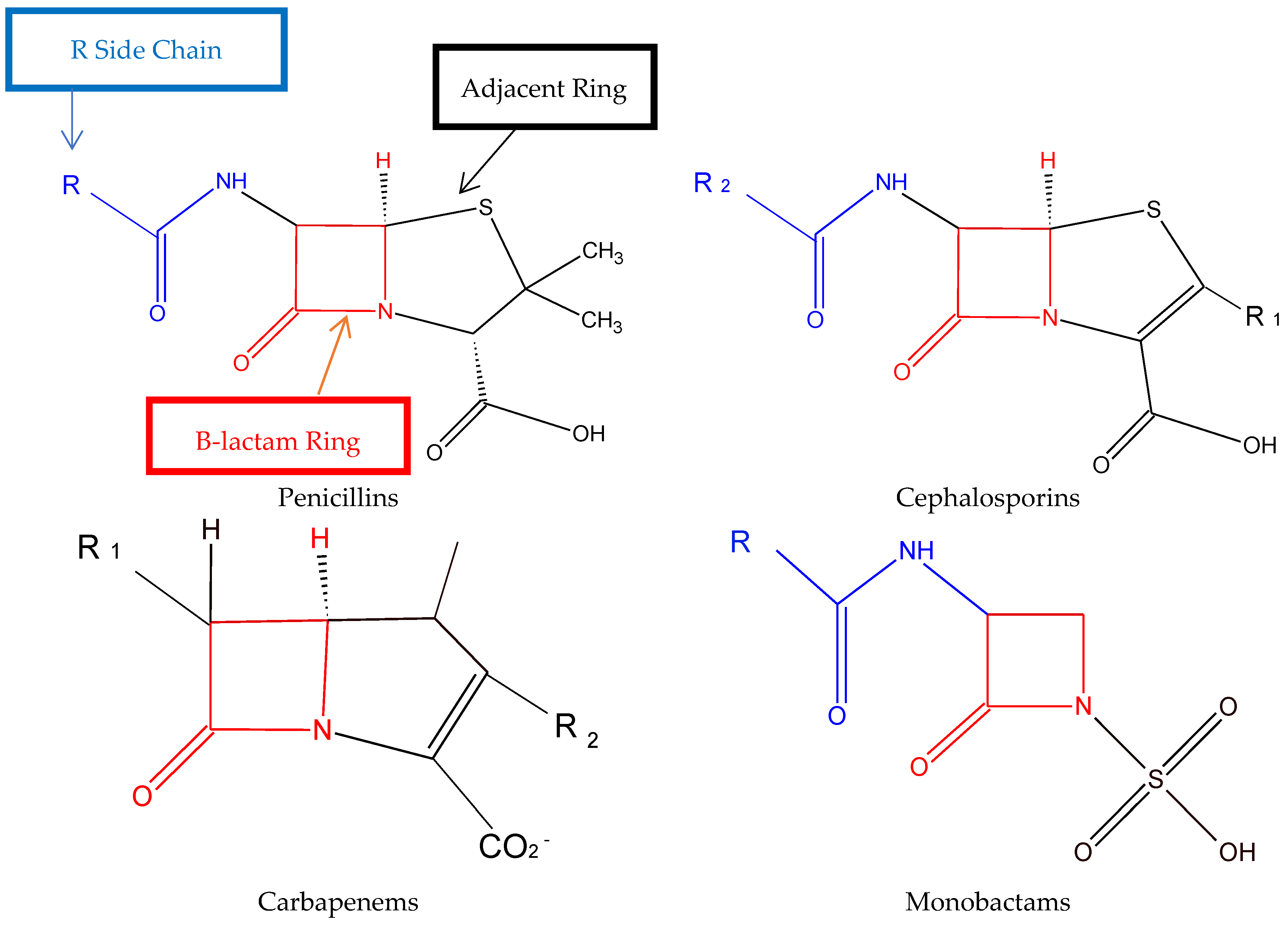 Cephalosporin Side Chain Chart