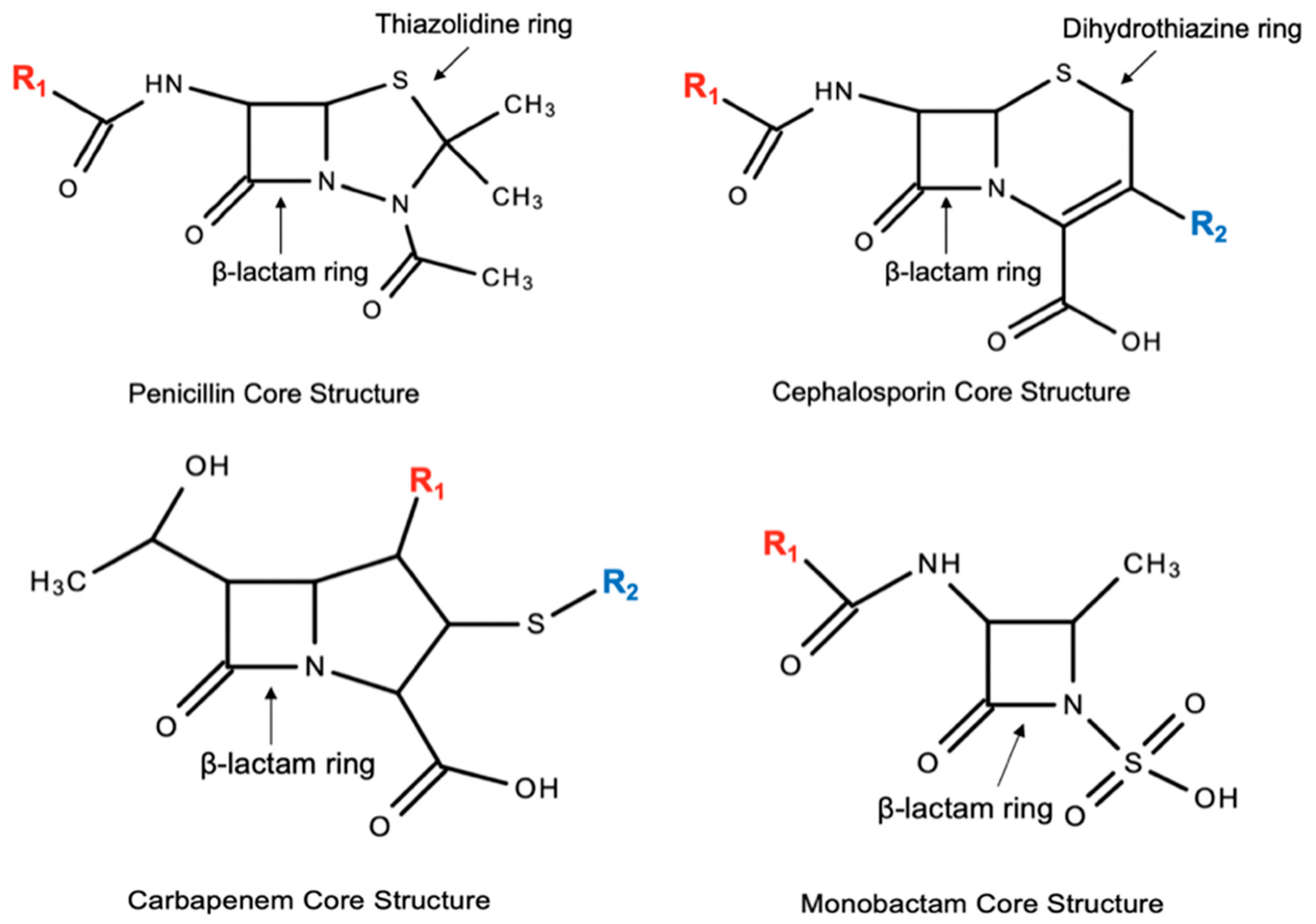 Cephalosporin Generations Chart