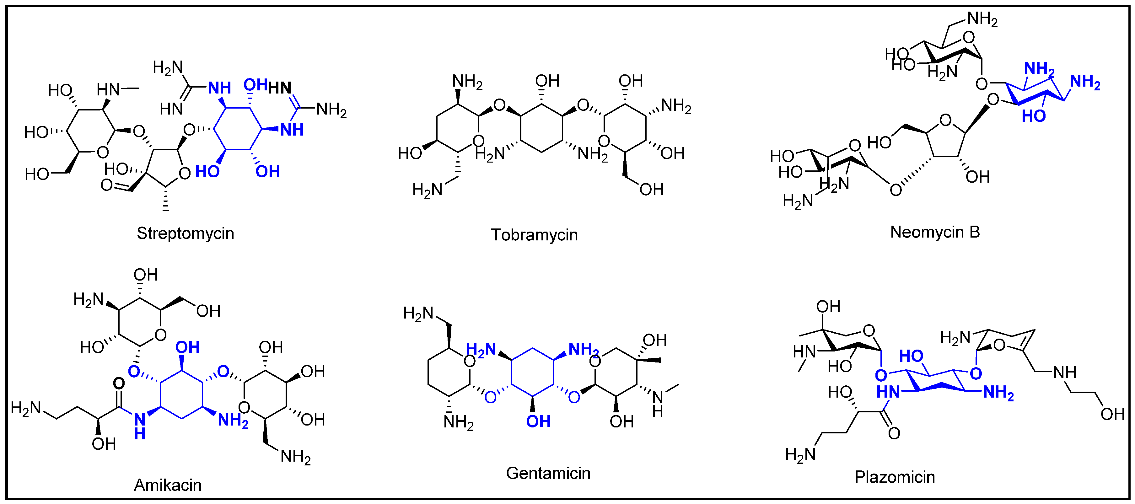 Pharmacy 07 00124 g001 Pharmacy 07 00124 g001