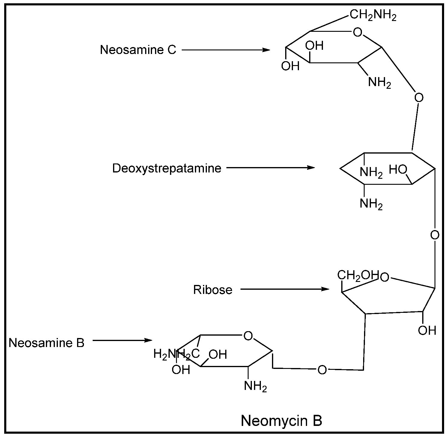 Pharmacy 07 00124 g002 Pharmacy 07 00124 g002