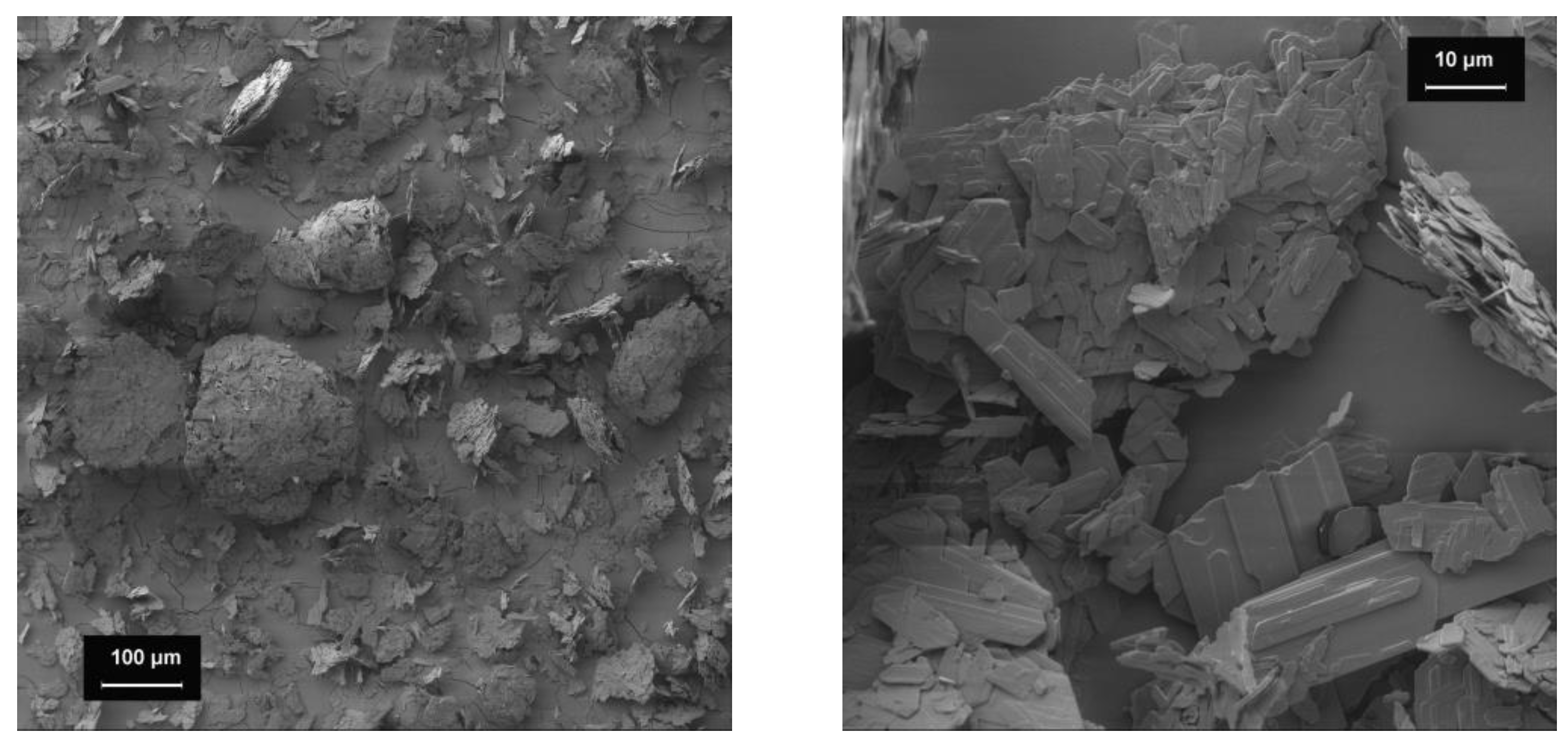 Pharmacy 09 00056 g003