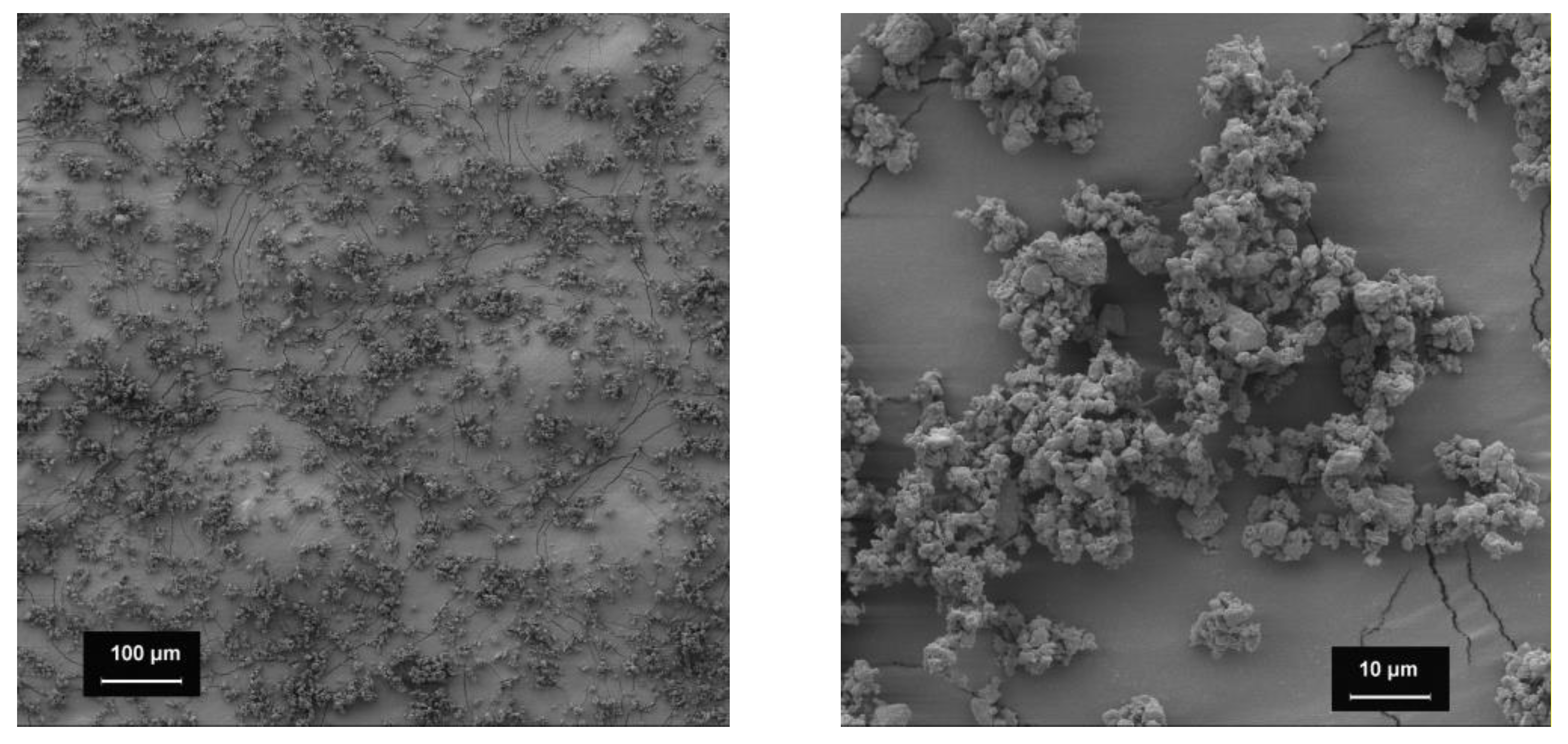 Pharmacy 09 00056 g004