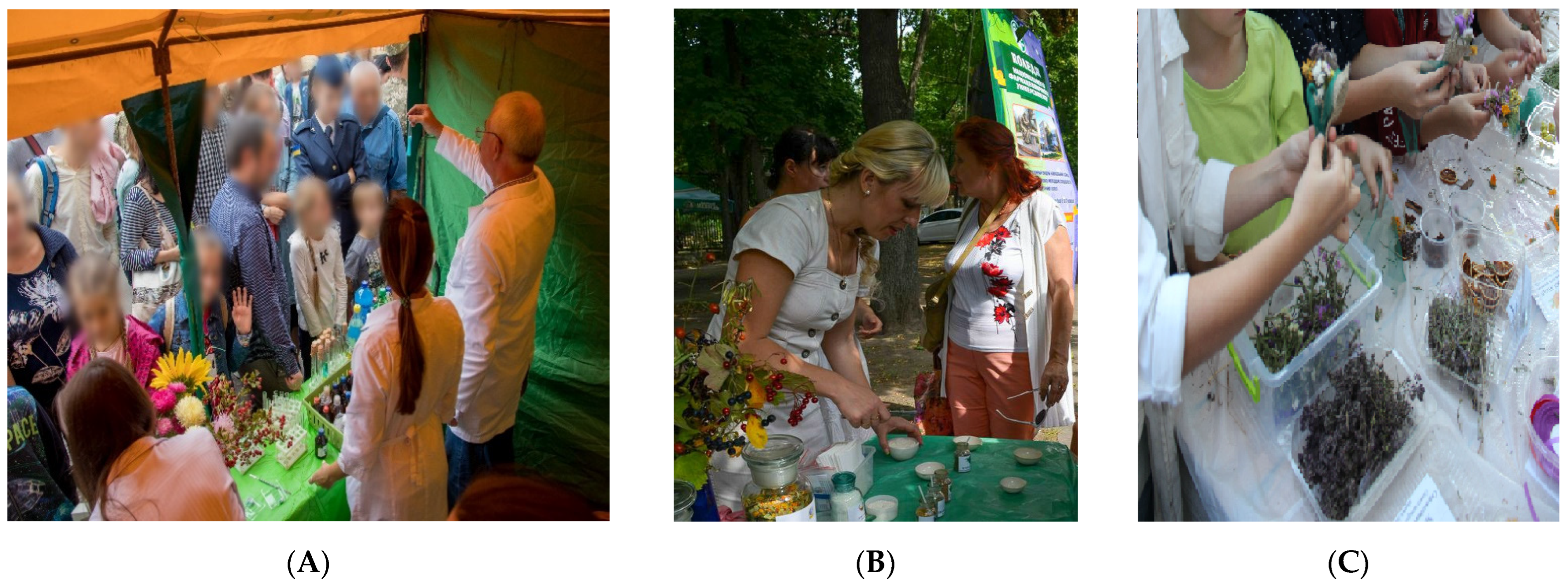 Pharmacy 10 00020 g002 550