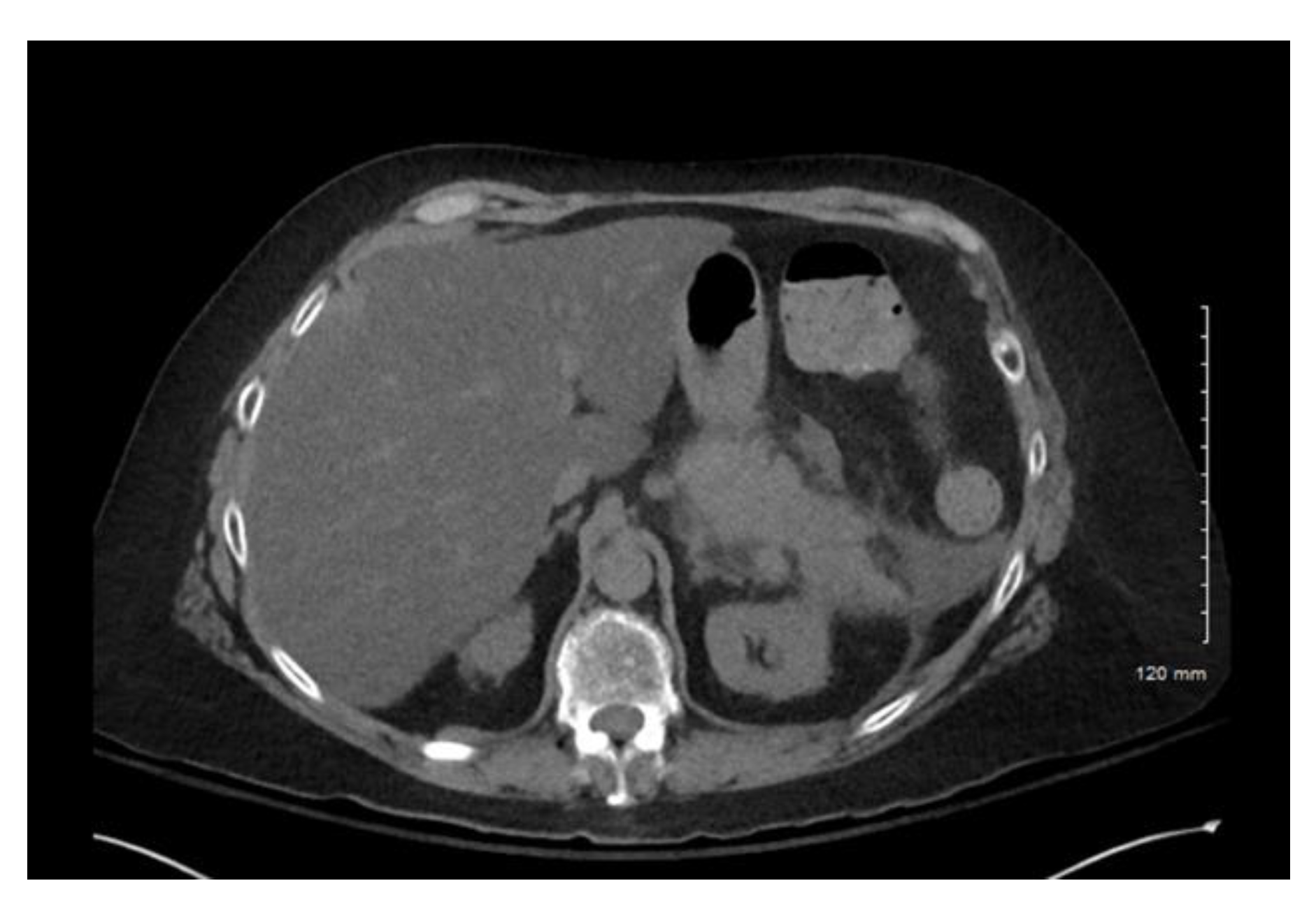 Pharmacy 10 00144 g001