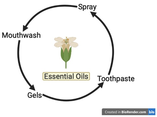 11 Essential Oils: Their Benefits and How To Use Them