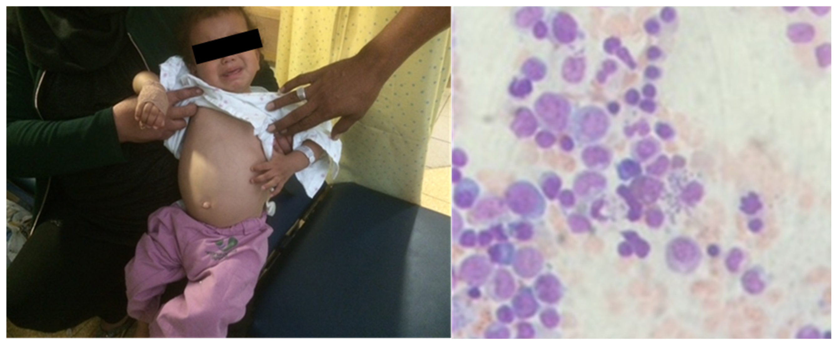 Pharmacy 12 00030 g001 Pharmacy 12 00030 g001