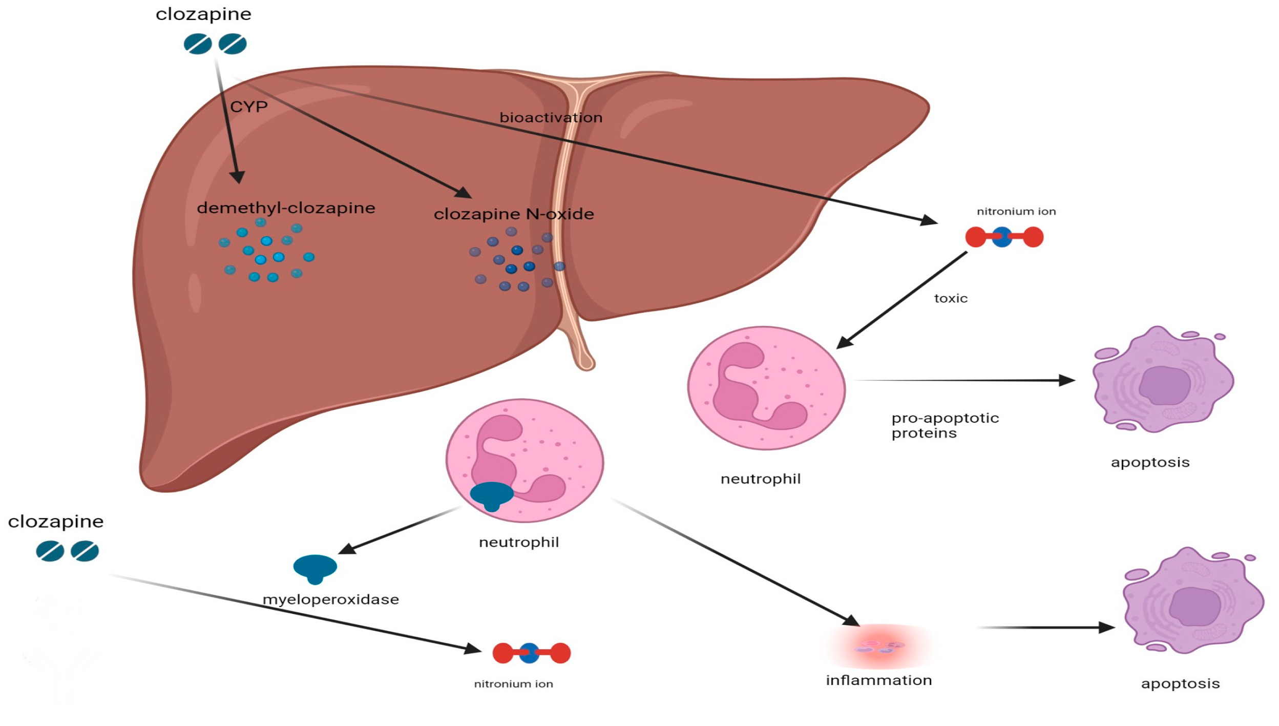 Pharmacy 12 00092 g001
