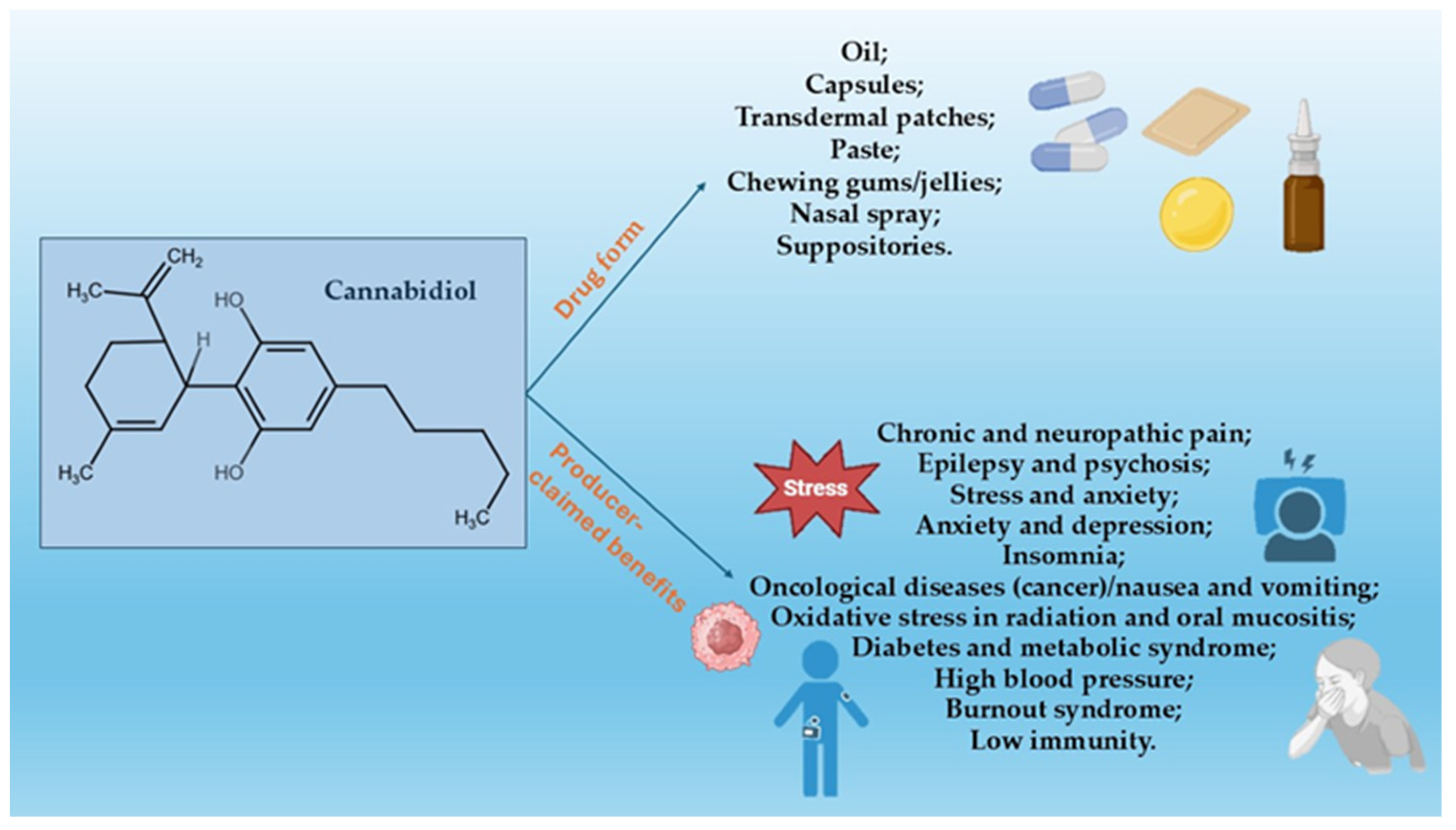 Pharmacy 12 00176 g002