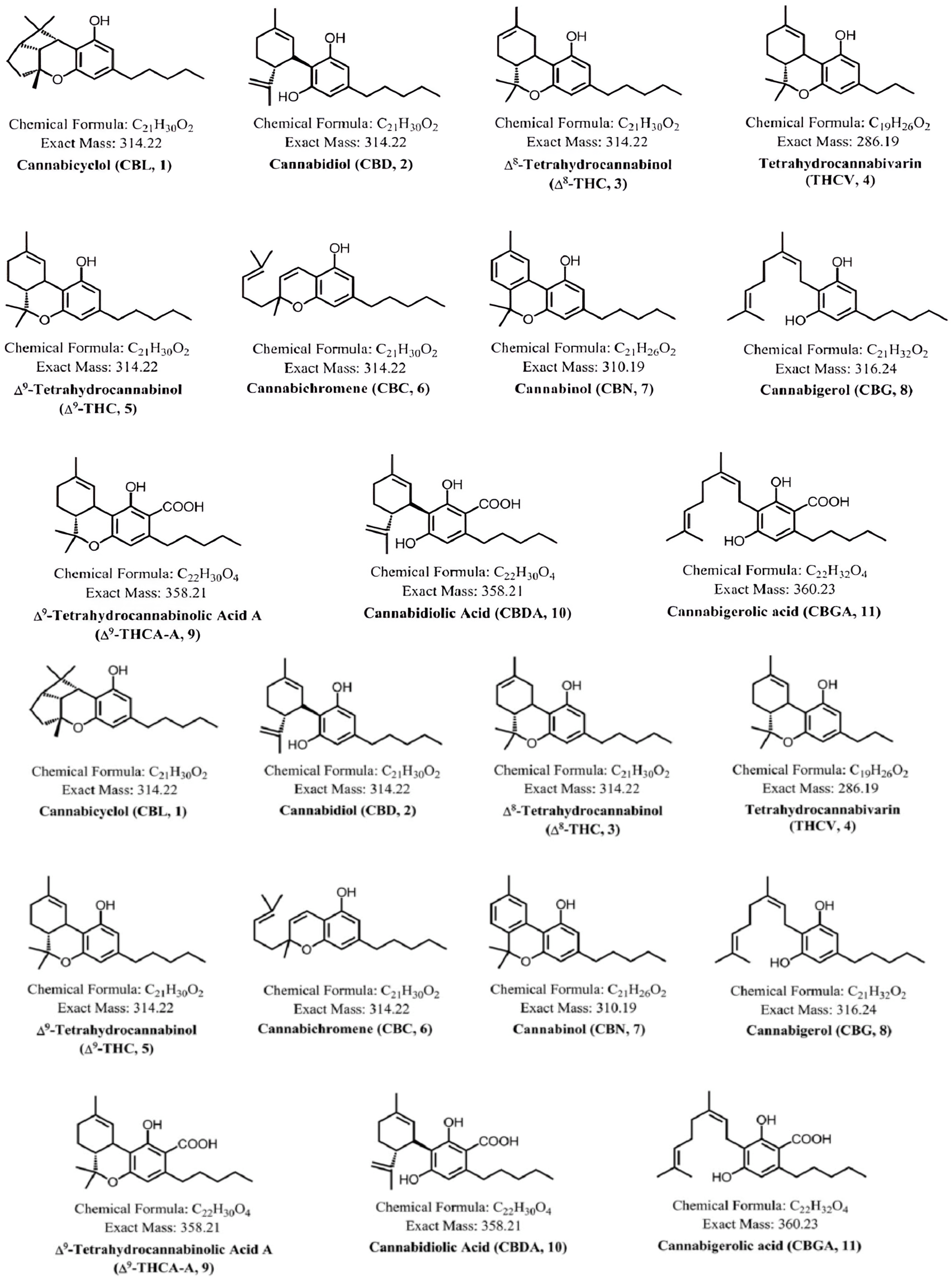 Pharmacy 12 00181 g001