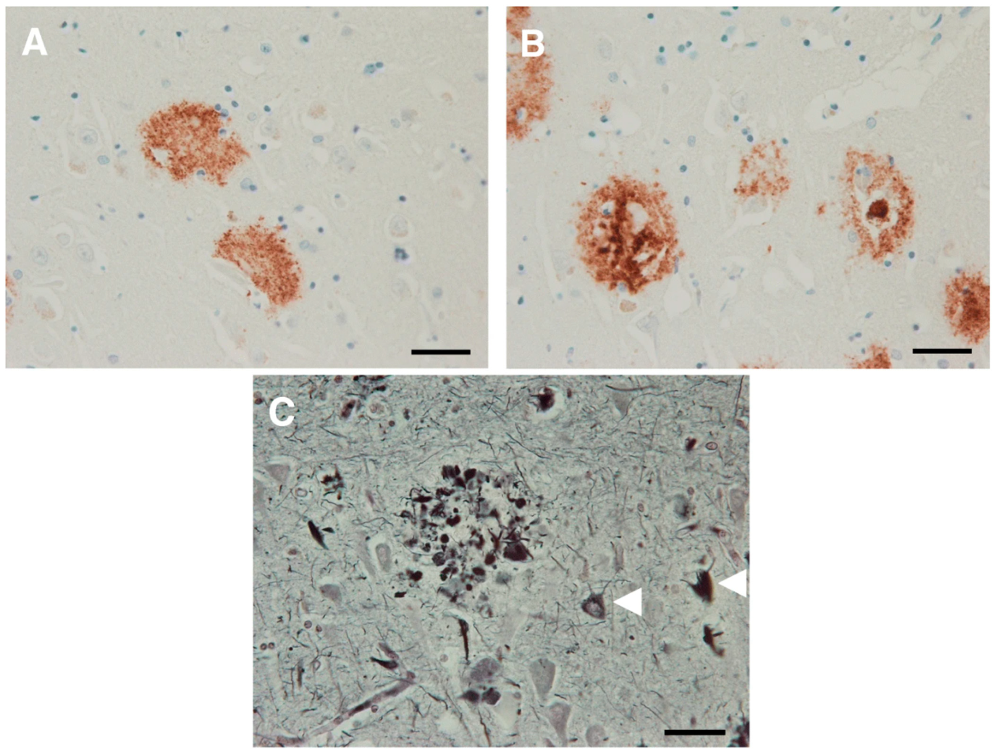 Pharmacy 13 00023 g001