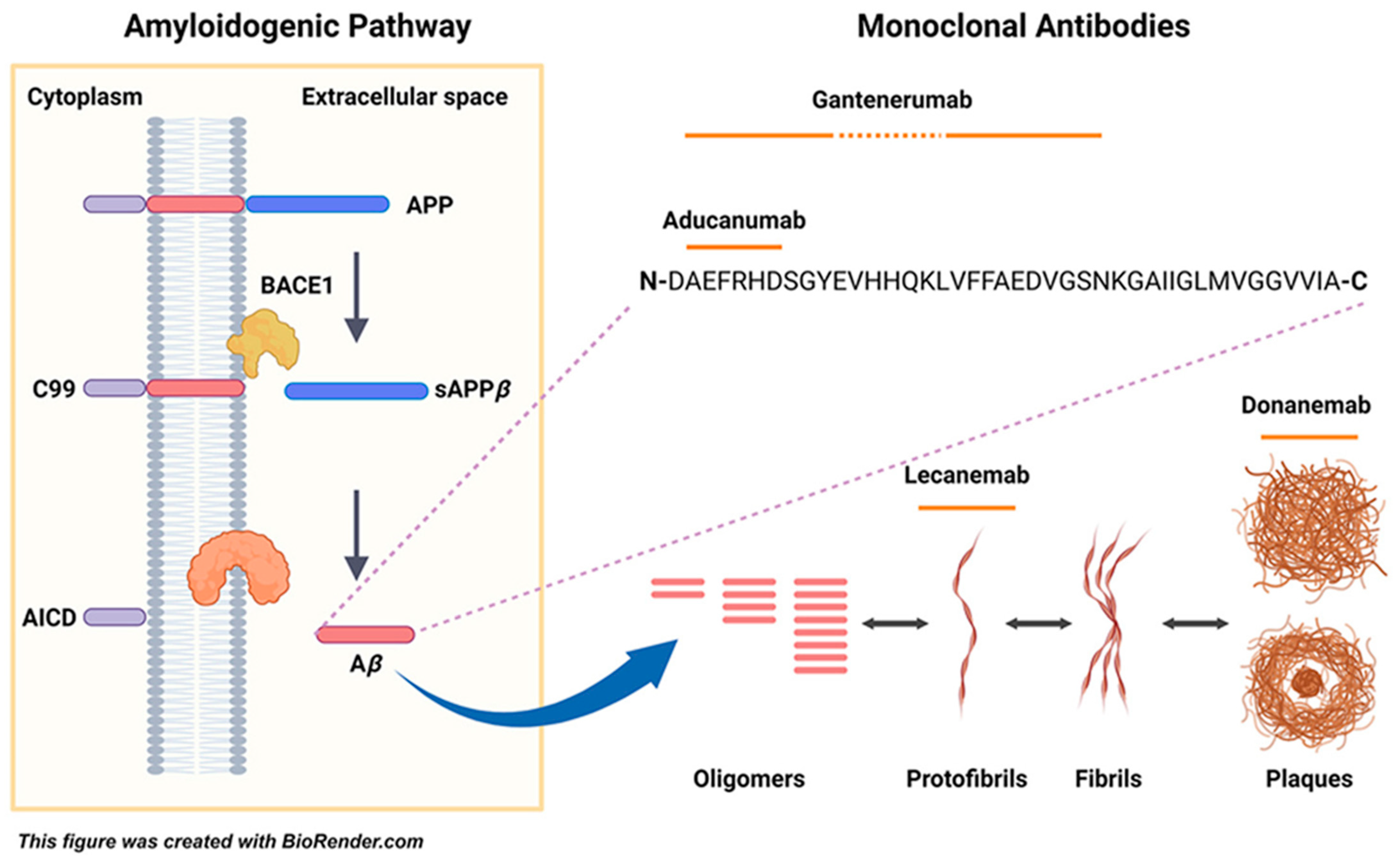 Pharmacy 13 00023 g002