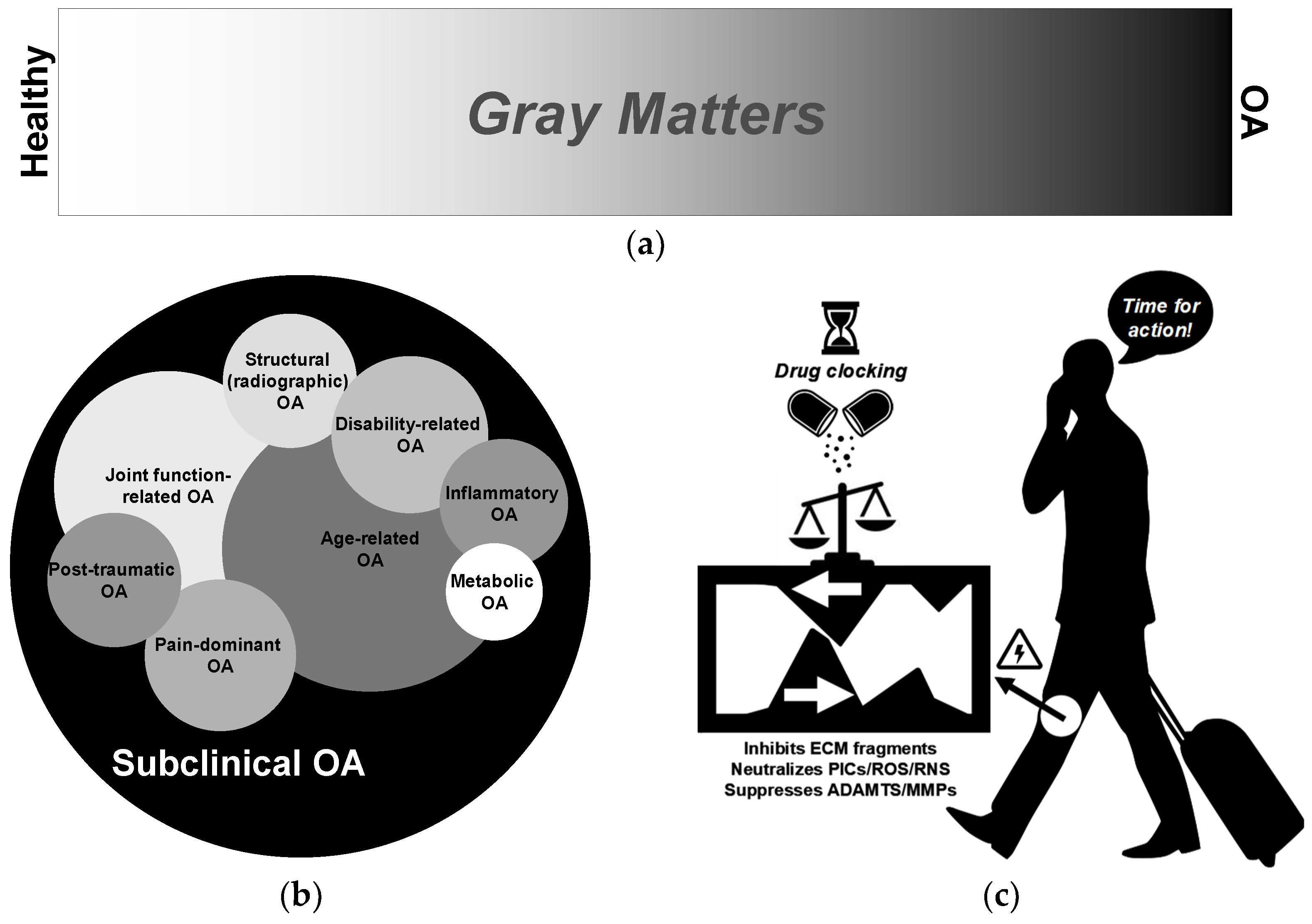 Pharmacy 13 00106 g002 Pharmacy 13 00106 g002