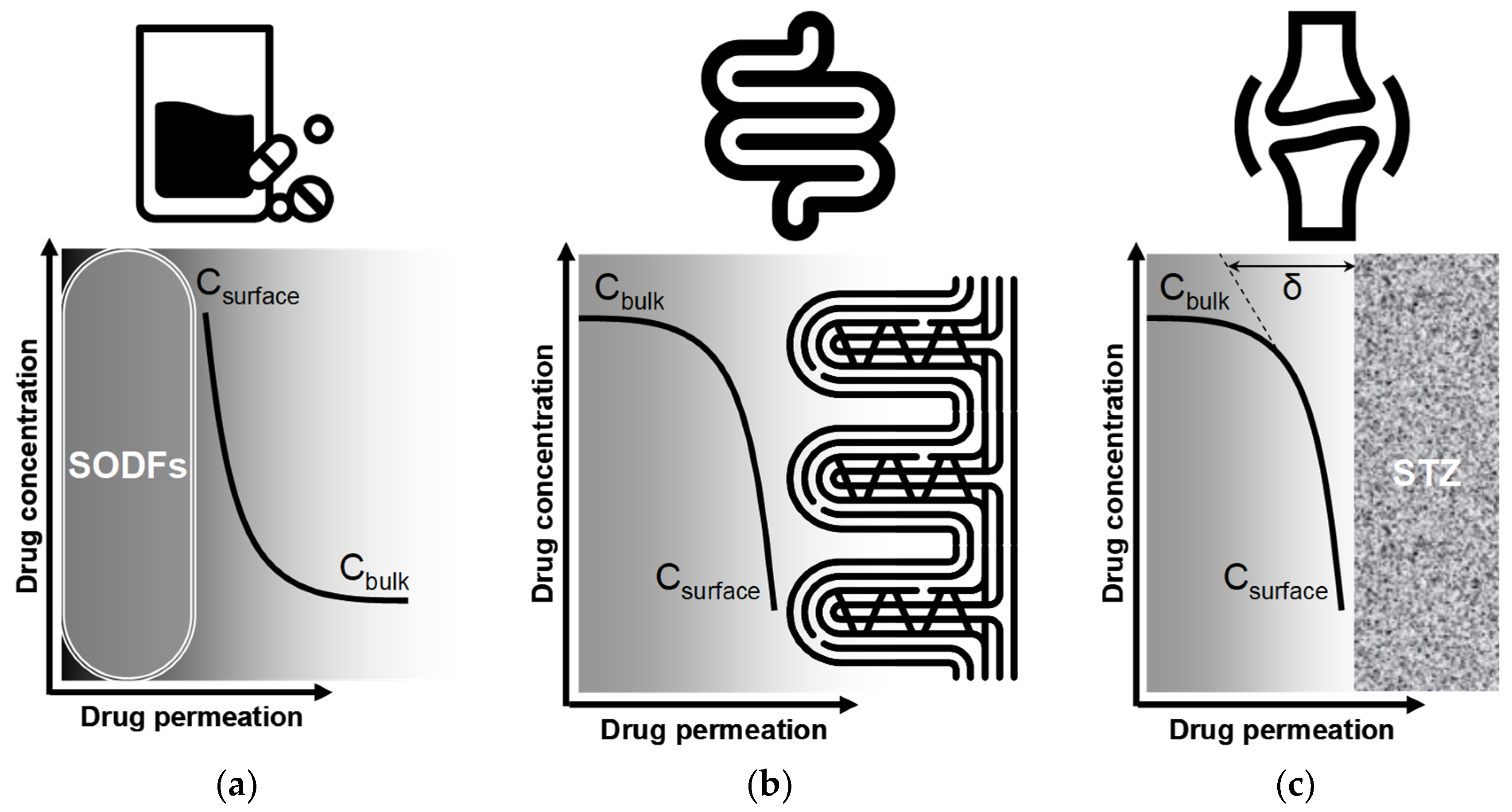 Pharmacy 13 00106 g004 Pharmacy 13 00106 g004