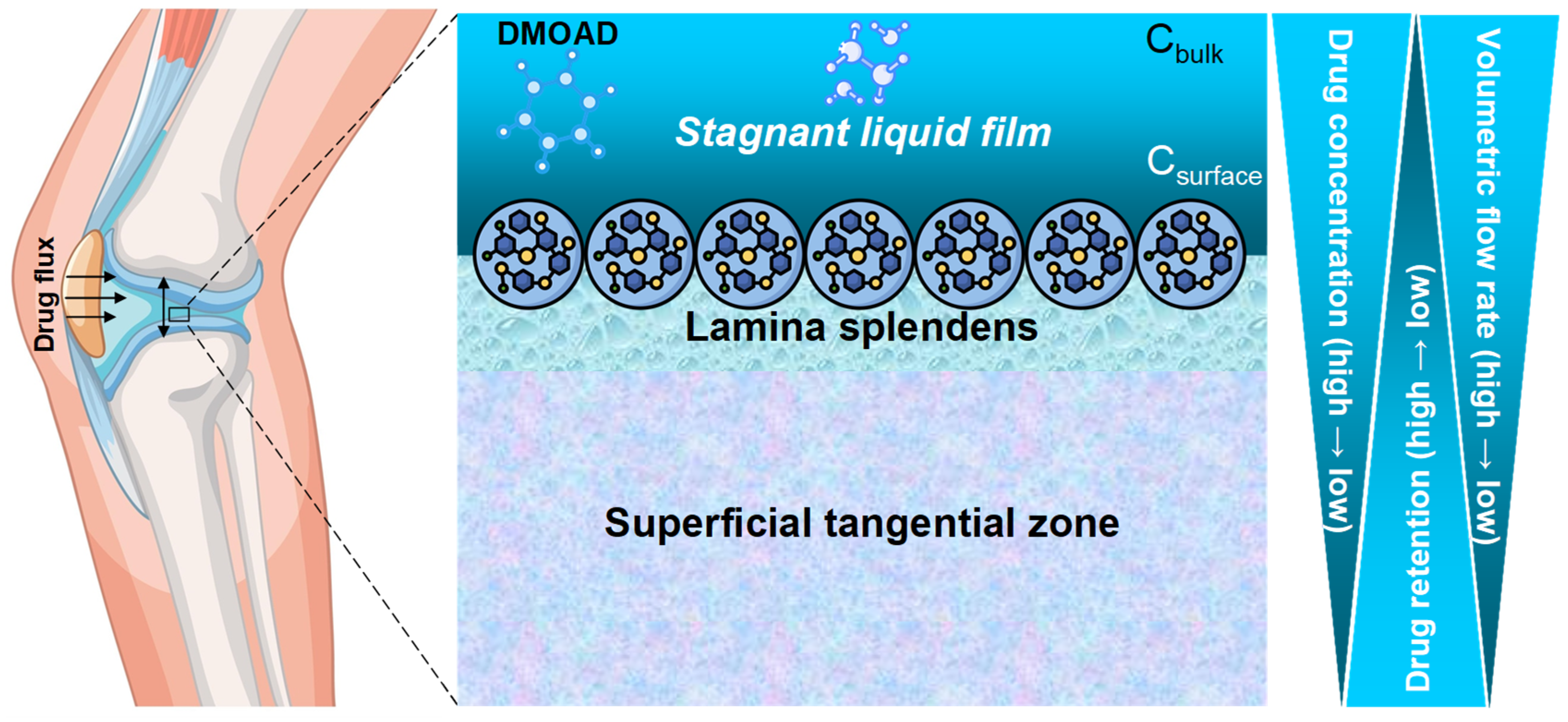 Pharmacy 13 00106 g005 Pharmacy 13 00106 g005