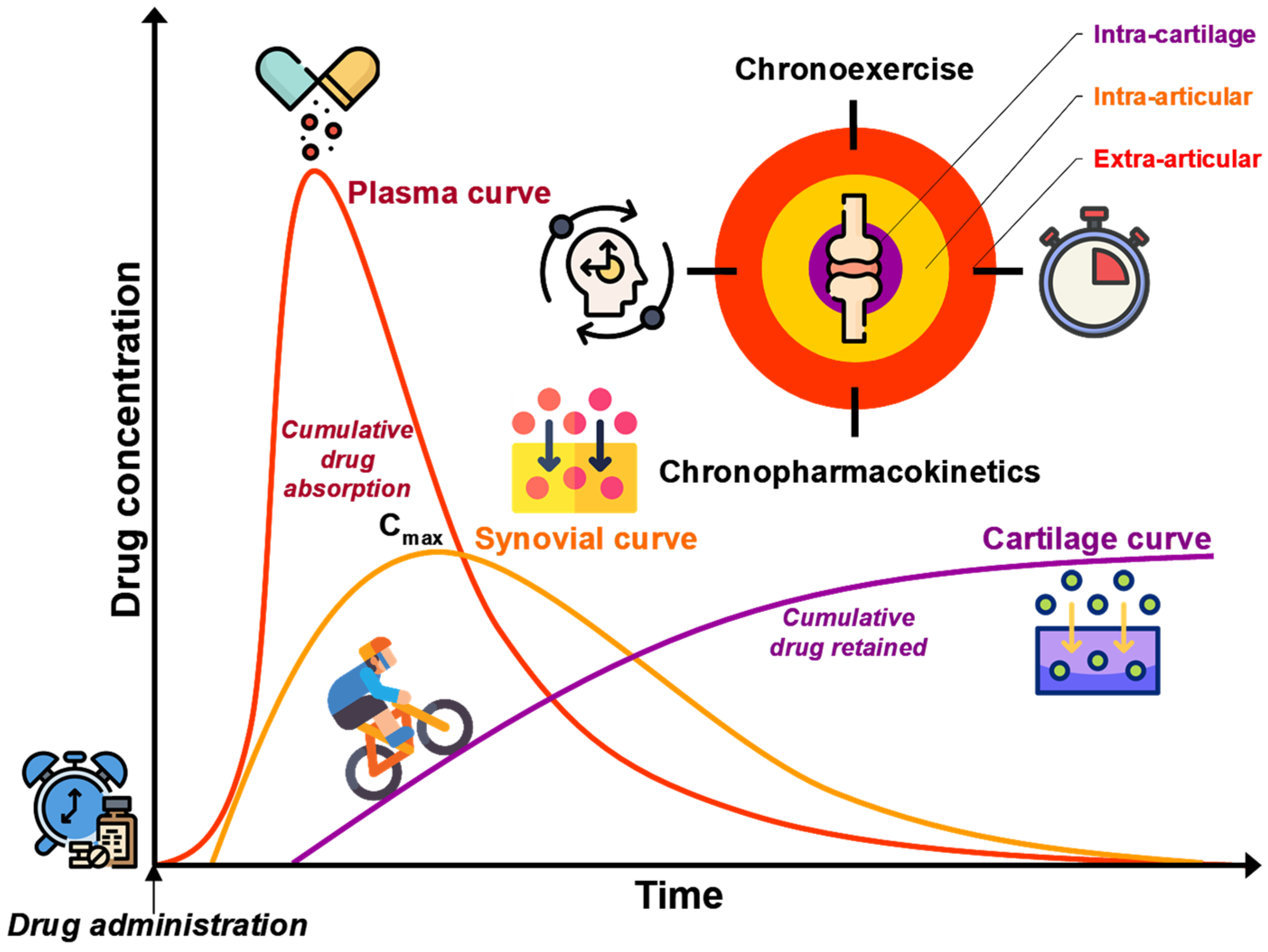 Pharmacy 13 00106 g006 Pharmacy 13 00106 g006