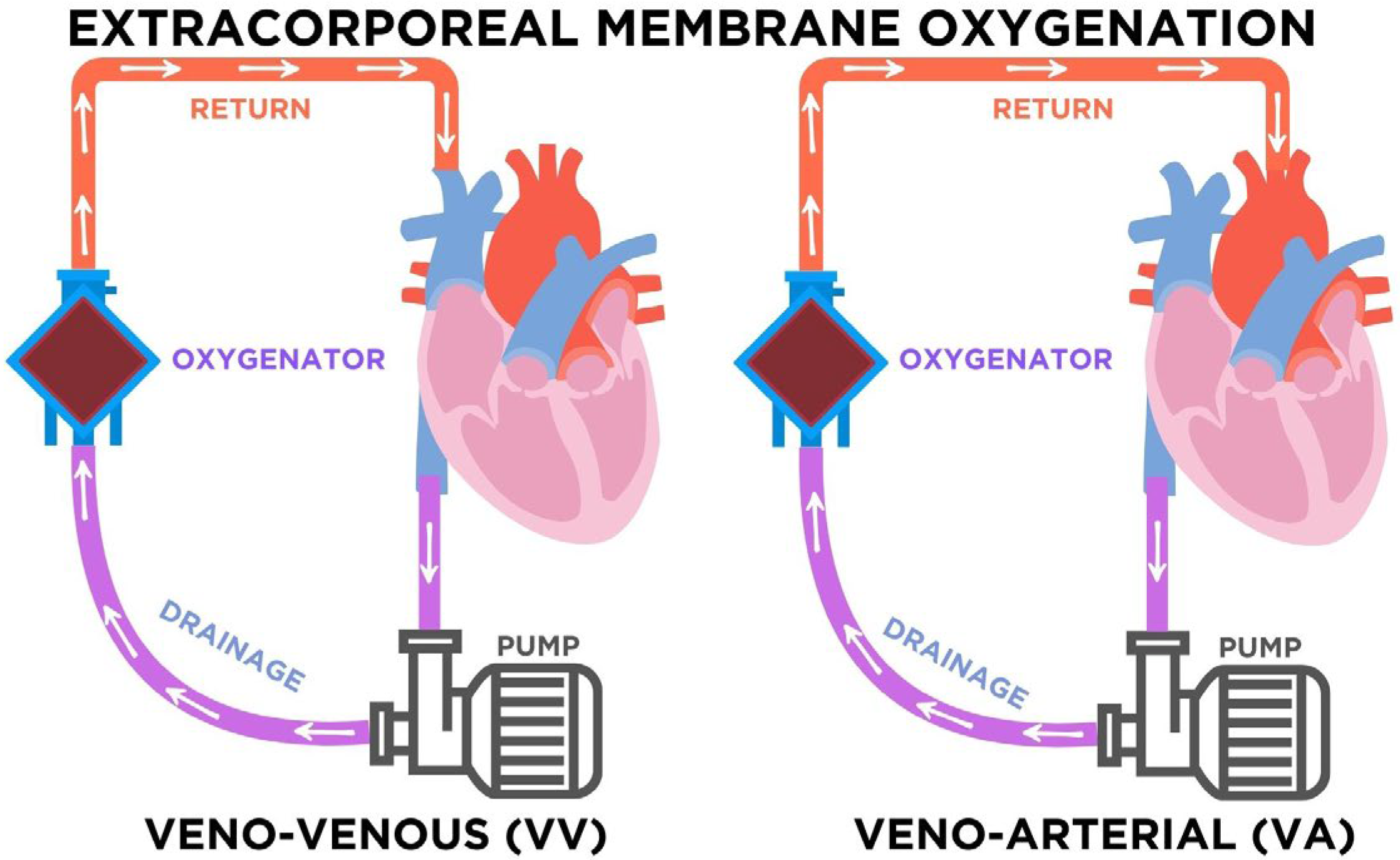 Pharmacy 13 00151 g002 Pharmacy 13 00151 g002