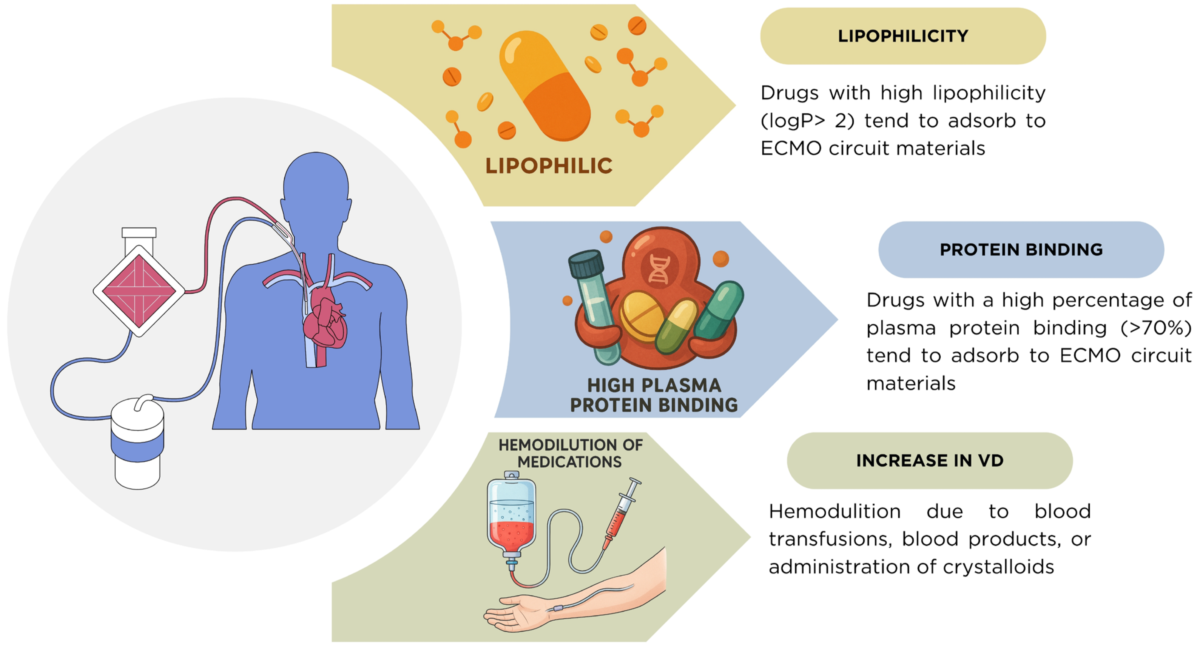 Pharmacy 13 00151 g003 Pharmacy 13 00151 g003