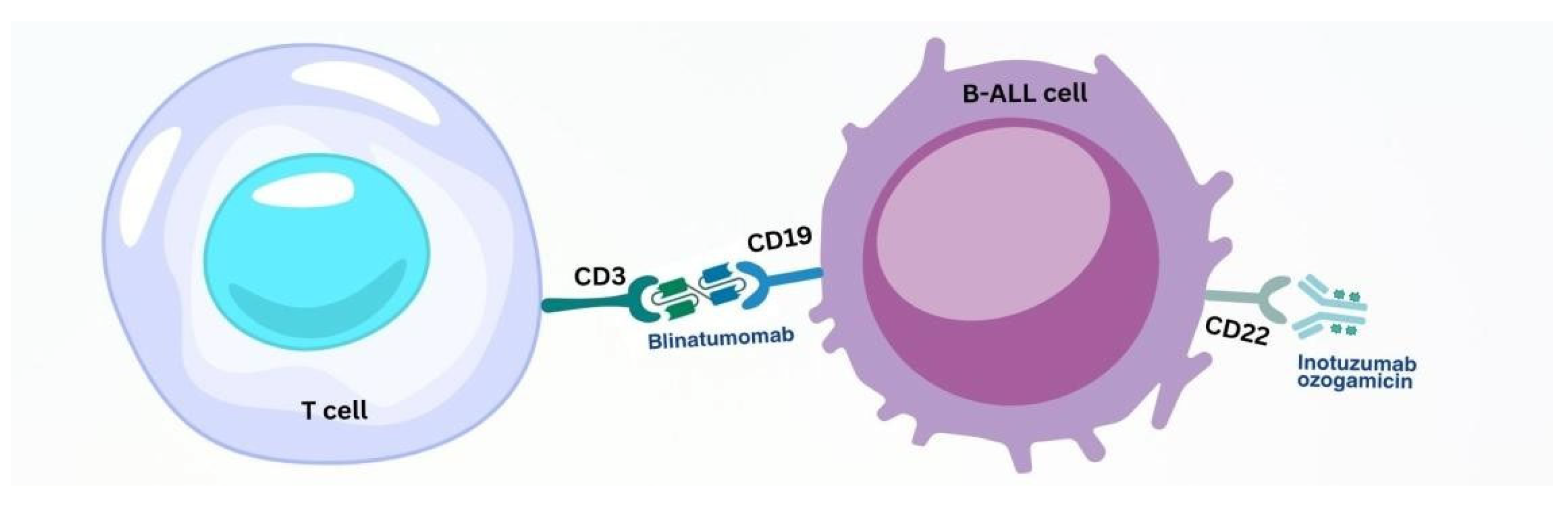 Pharmacy 13 00169 g005