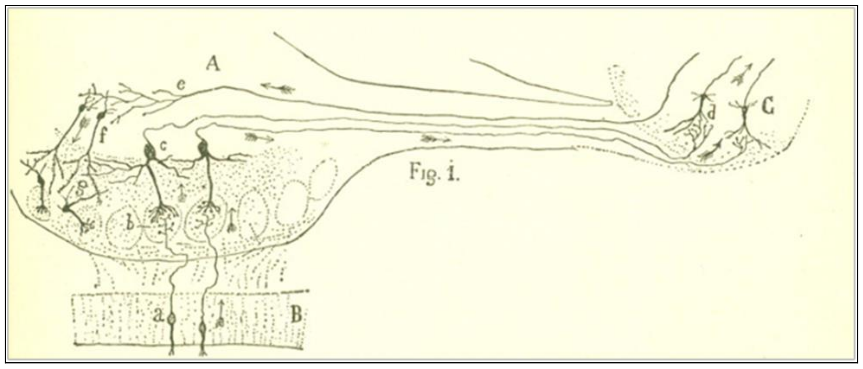 Philosophies 03 00011 g001