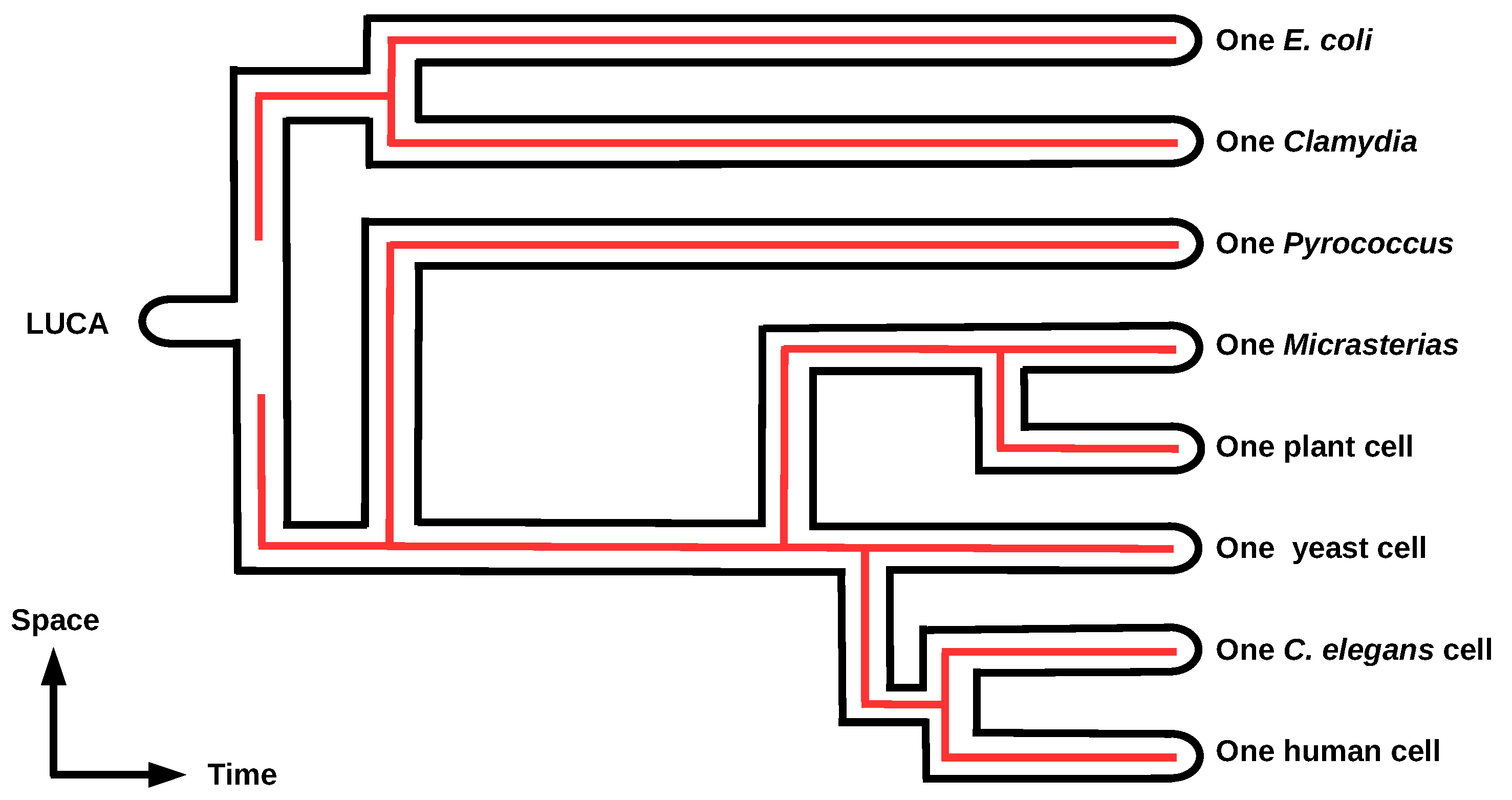 Philosophies 03 00029 g005 Philosophies 03 00029 g005