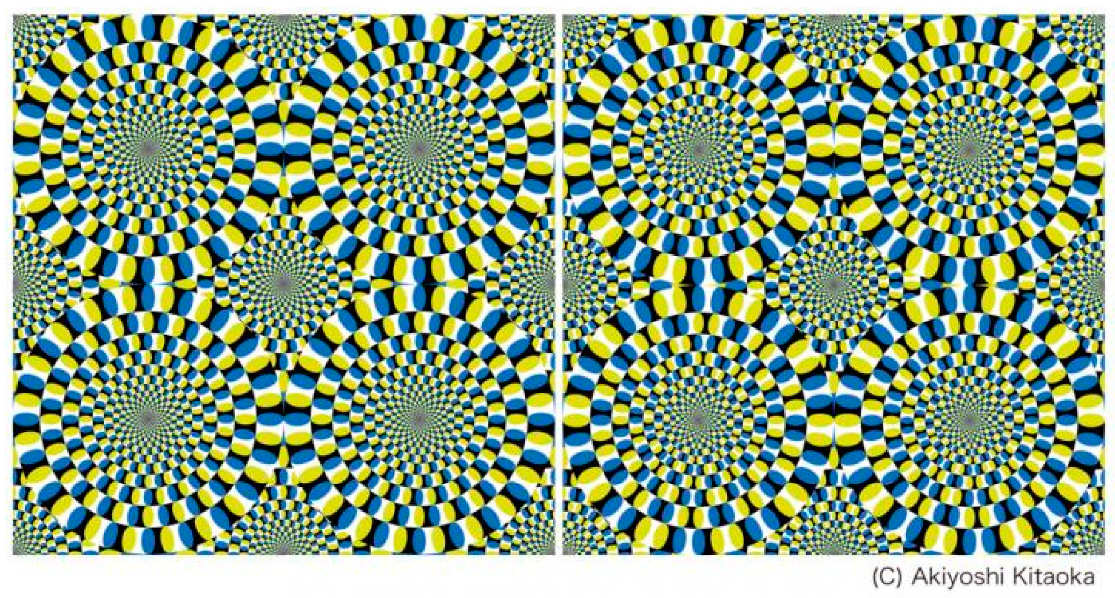 Расслабленное зрение. Акиоши Китаока иллюзия. Вращающийся змей Акиоши Китаока. Японский психиатр Акиоши Китаока (a.Kitaoka). Оптические иллюзии.