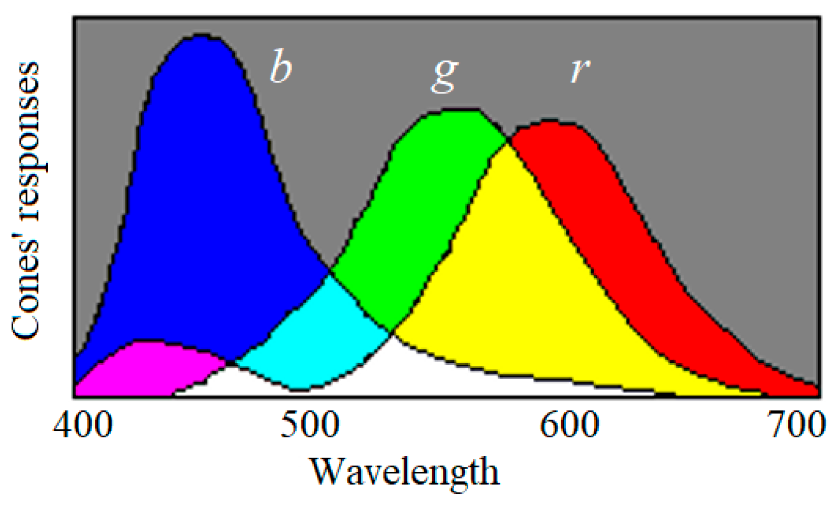 Philosophies 05 00025 g0a1