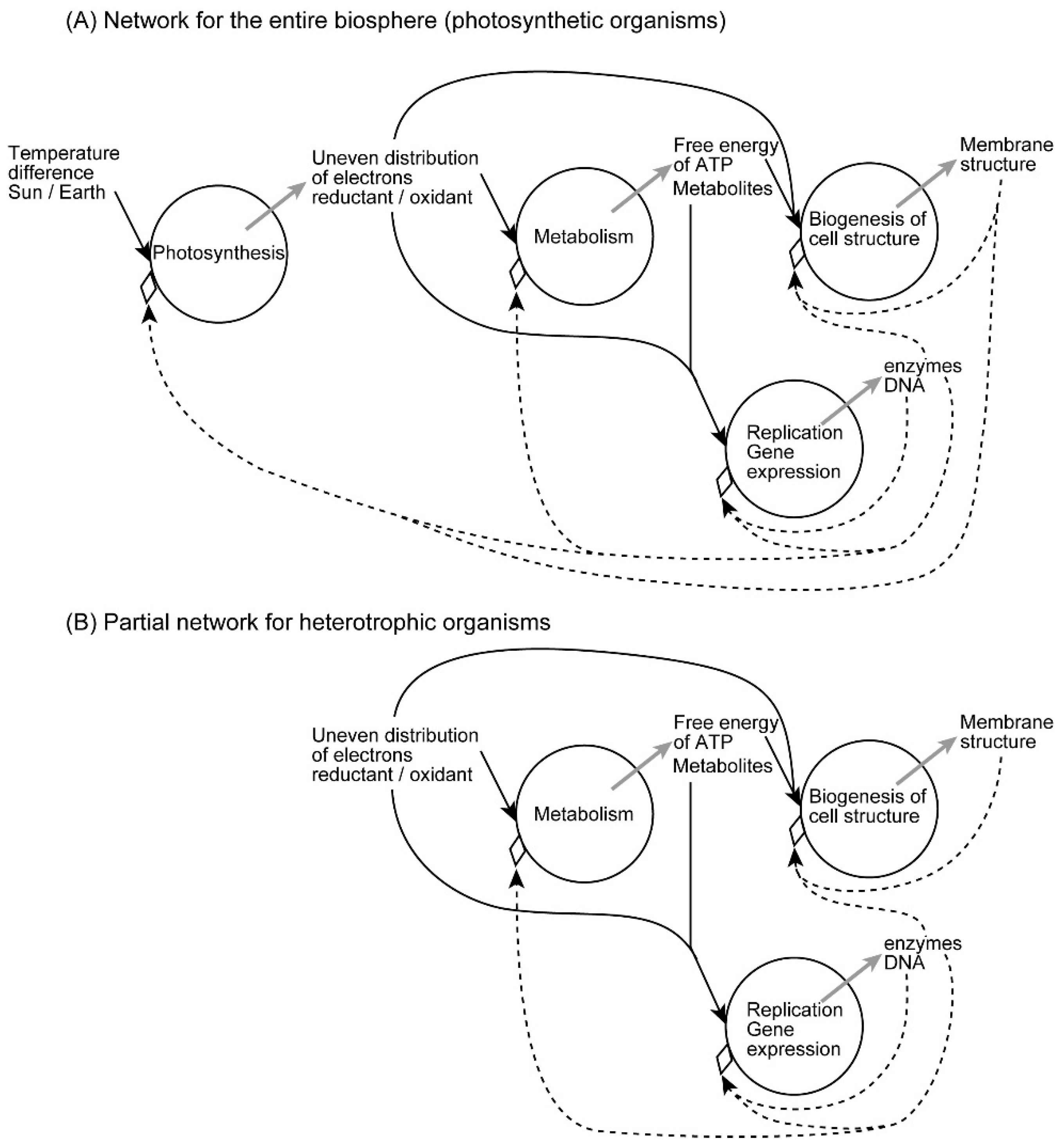 Philosophies 06 00003 g005